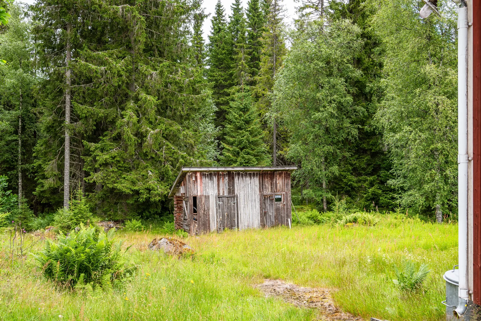 Gård/Skog, Ulvsjön 19, Torsby
