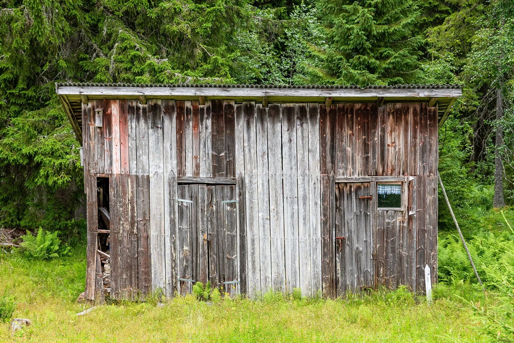 Gård/Skog, Ulvsjön 19, Torsby