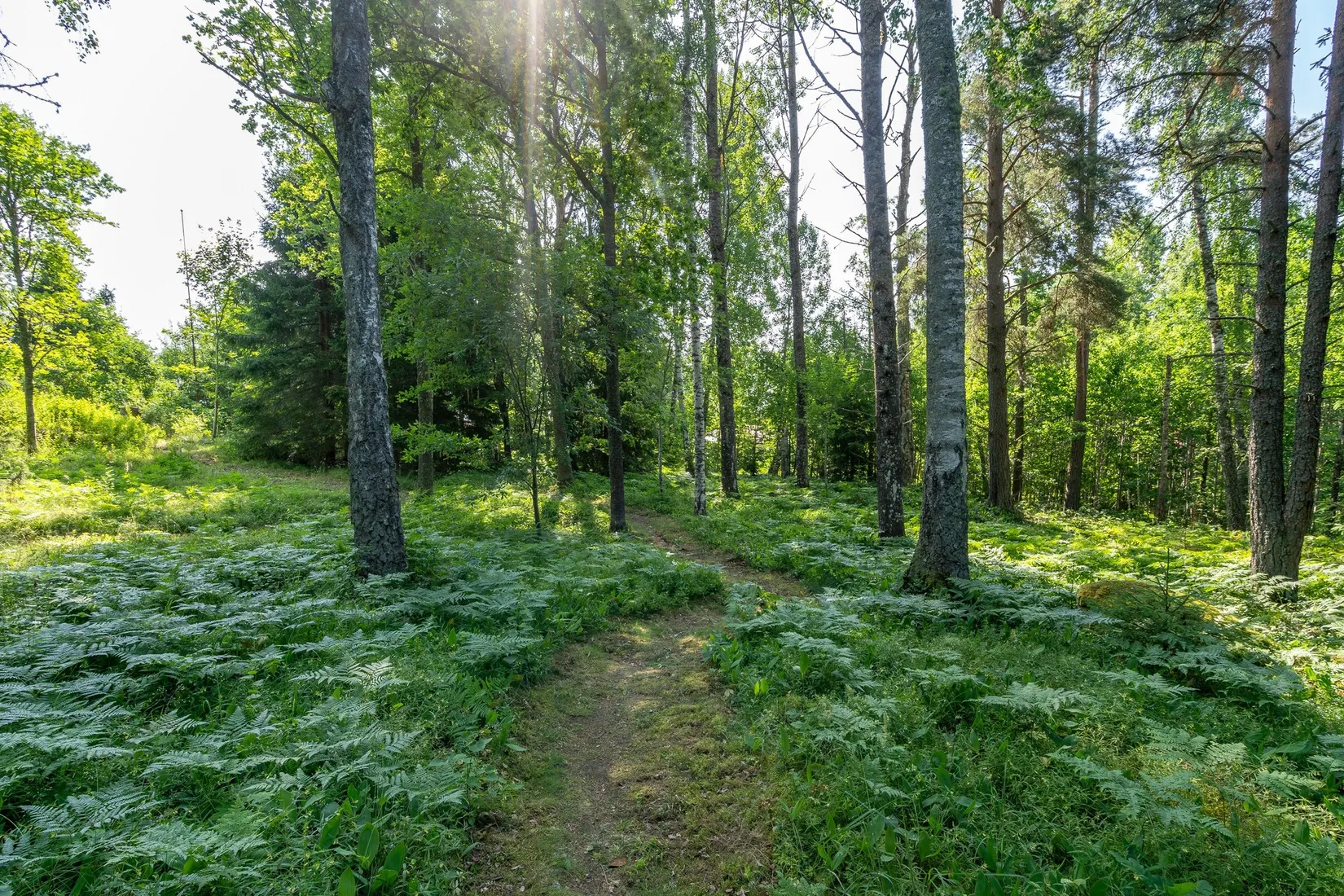 Villa, Ödestorp Bergtuna 307, Regna, Finspång
