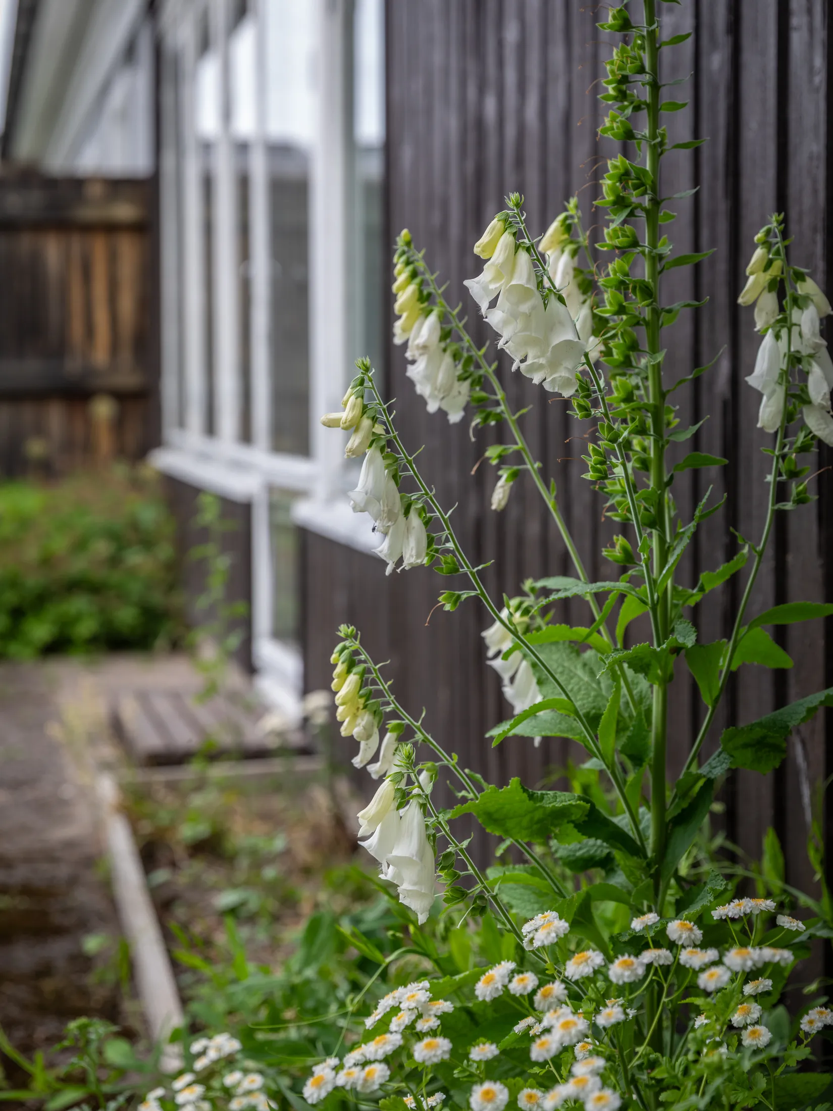 Villa, Radhus, Sparvstigen 40, Halvorstorp, Trollhättan