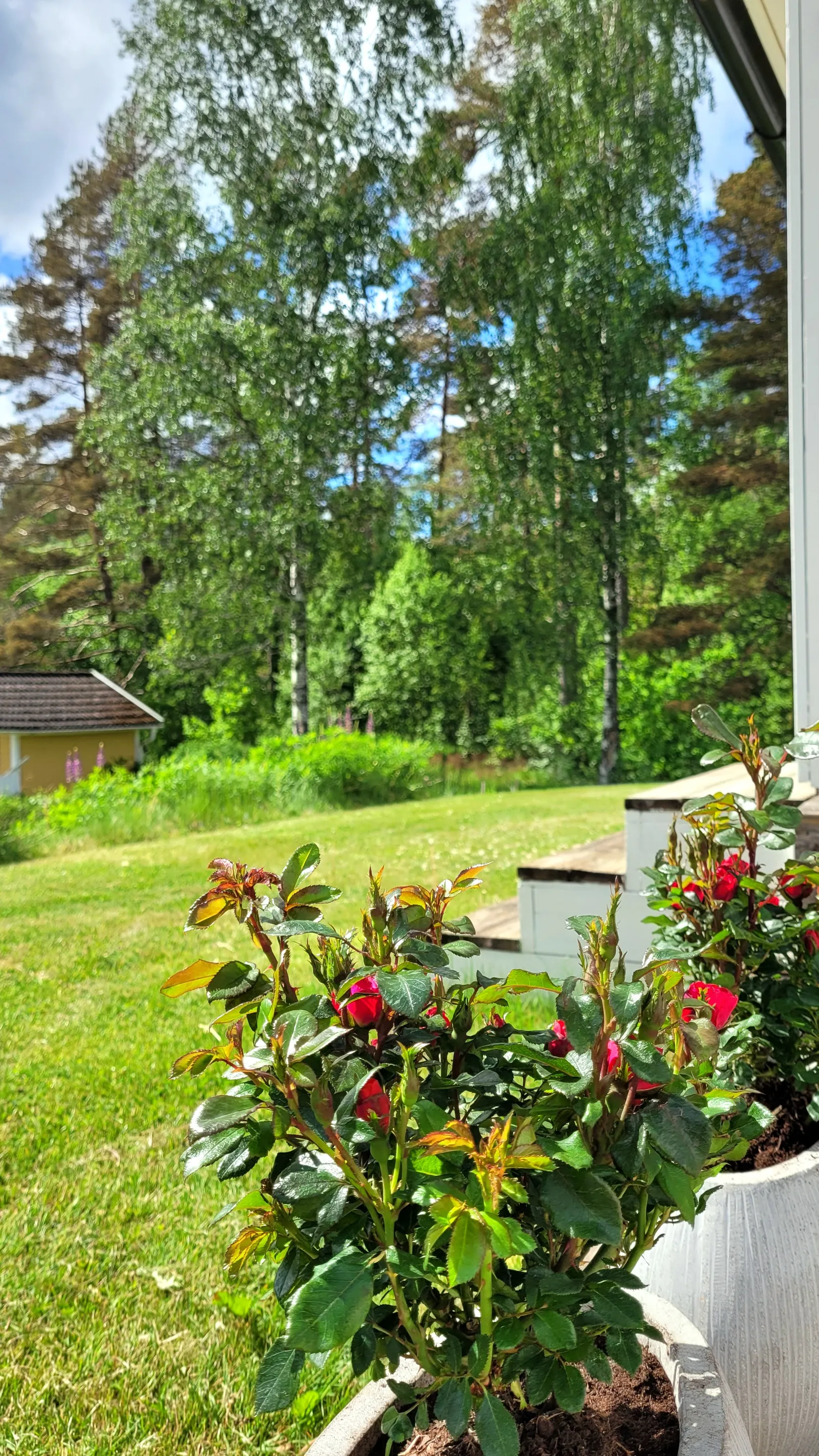 Villa, Askvägen 5, Svaneholm, Borås