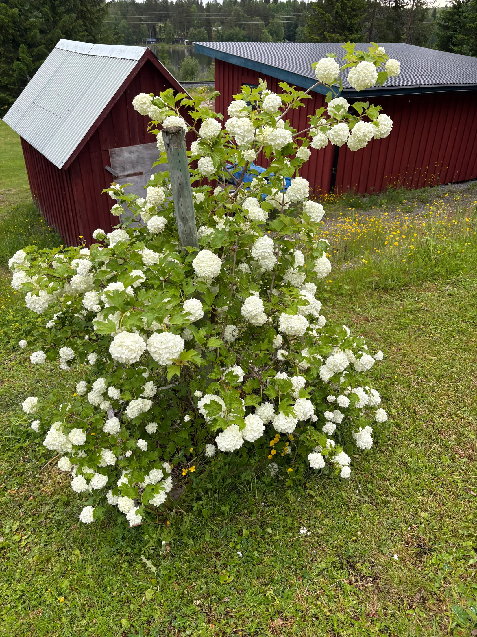 Villa, Hållsta 240, Östersund