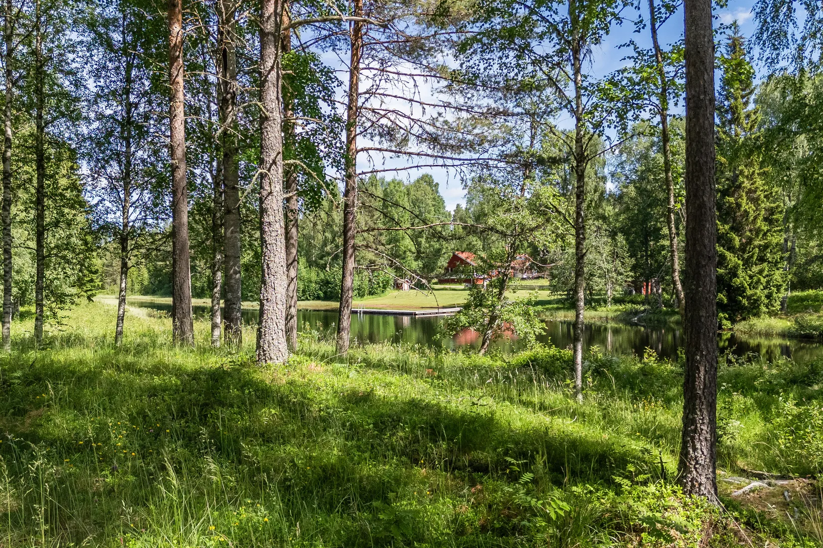Villa, Högberget 62, Gagnef