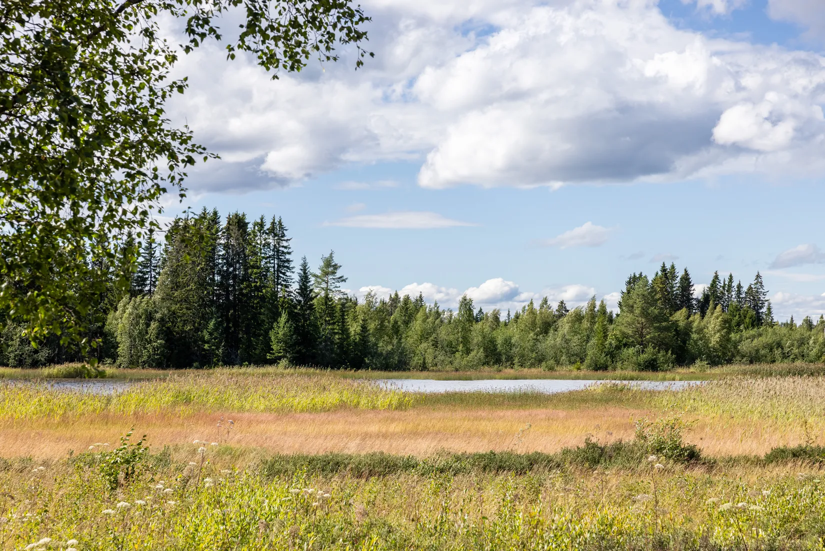 Fritidshus, Ostnäs 712, Ostnäs, Umeå