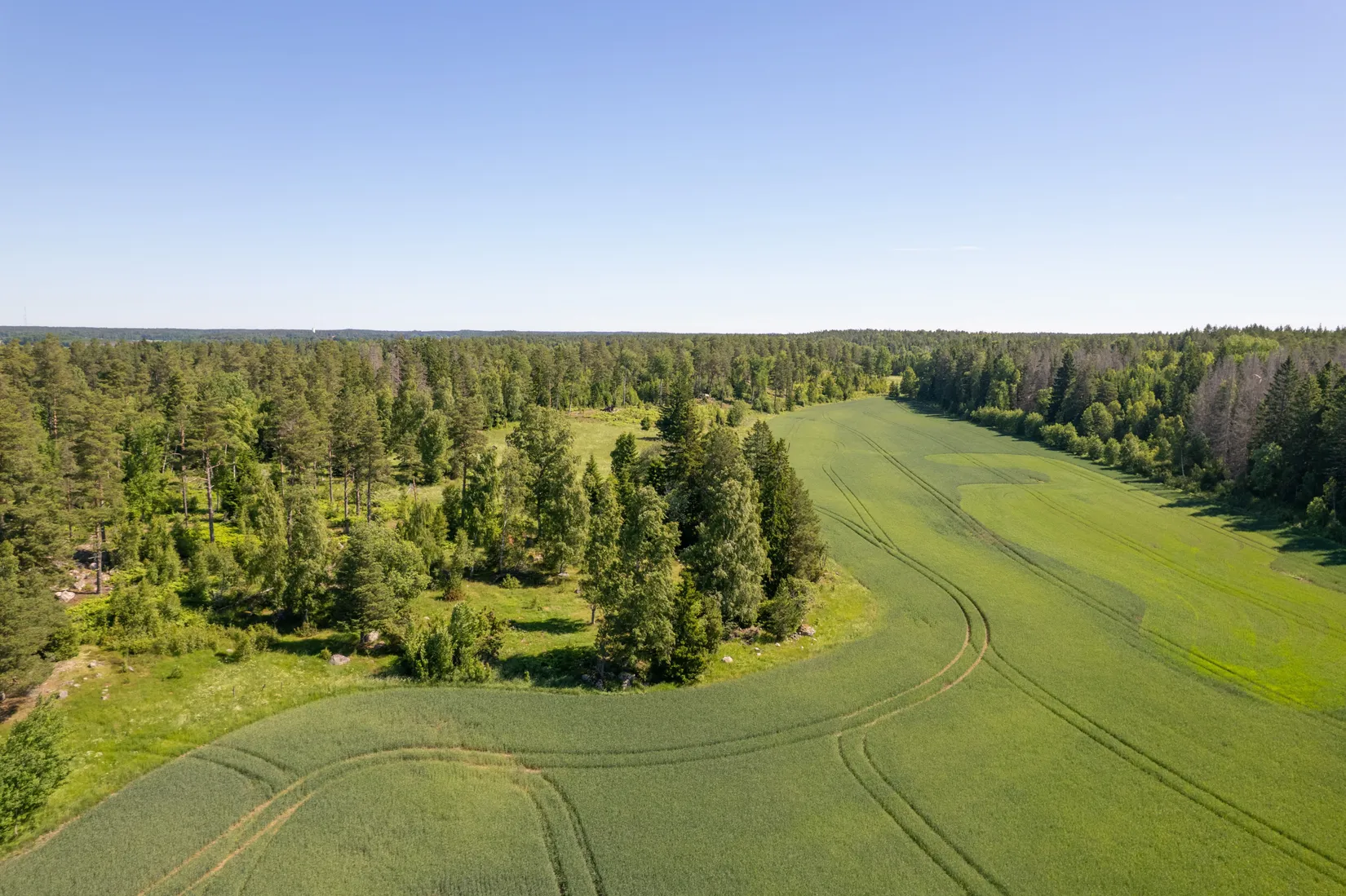 Gård/Skog, Kälbrotorp 1, Stenkvista, Eskilstuna