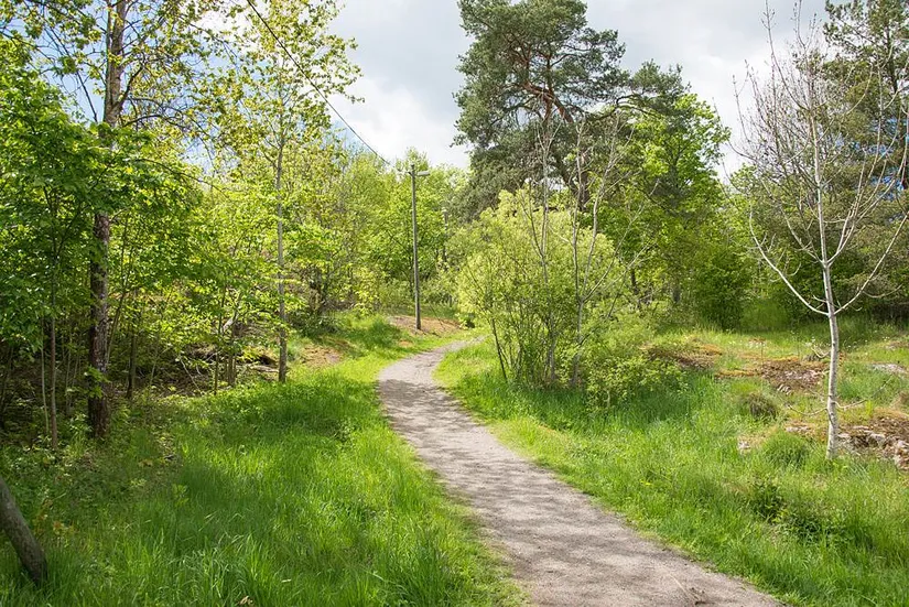 Bostadsrätt, Luthagsesplanaden 24E, Luthagen, Uppsala