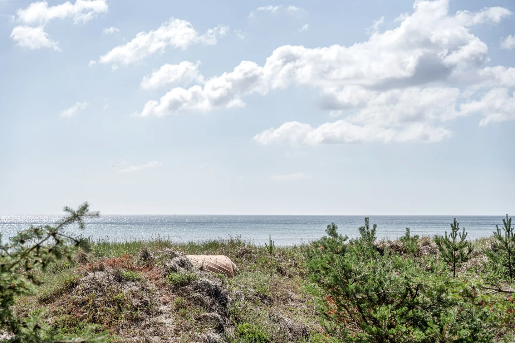 Tomt, Curt Ols väg 12, Simrishamn