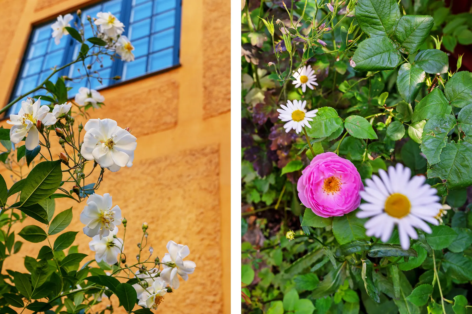 Radhus, Krokvägen 4, Gamla Enskede, Stockholm