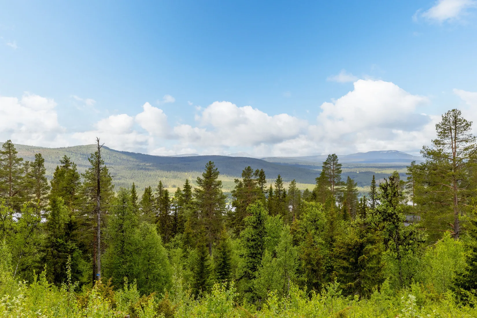 Fritidshus, Höglandet Gösvägen 3, Lofsdalen, Härjedalen