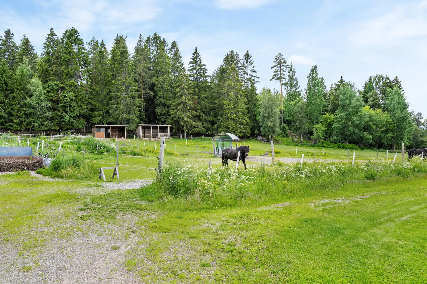 Gård/Skog, Specksta 159, Matfors, Sundsvall