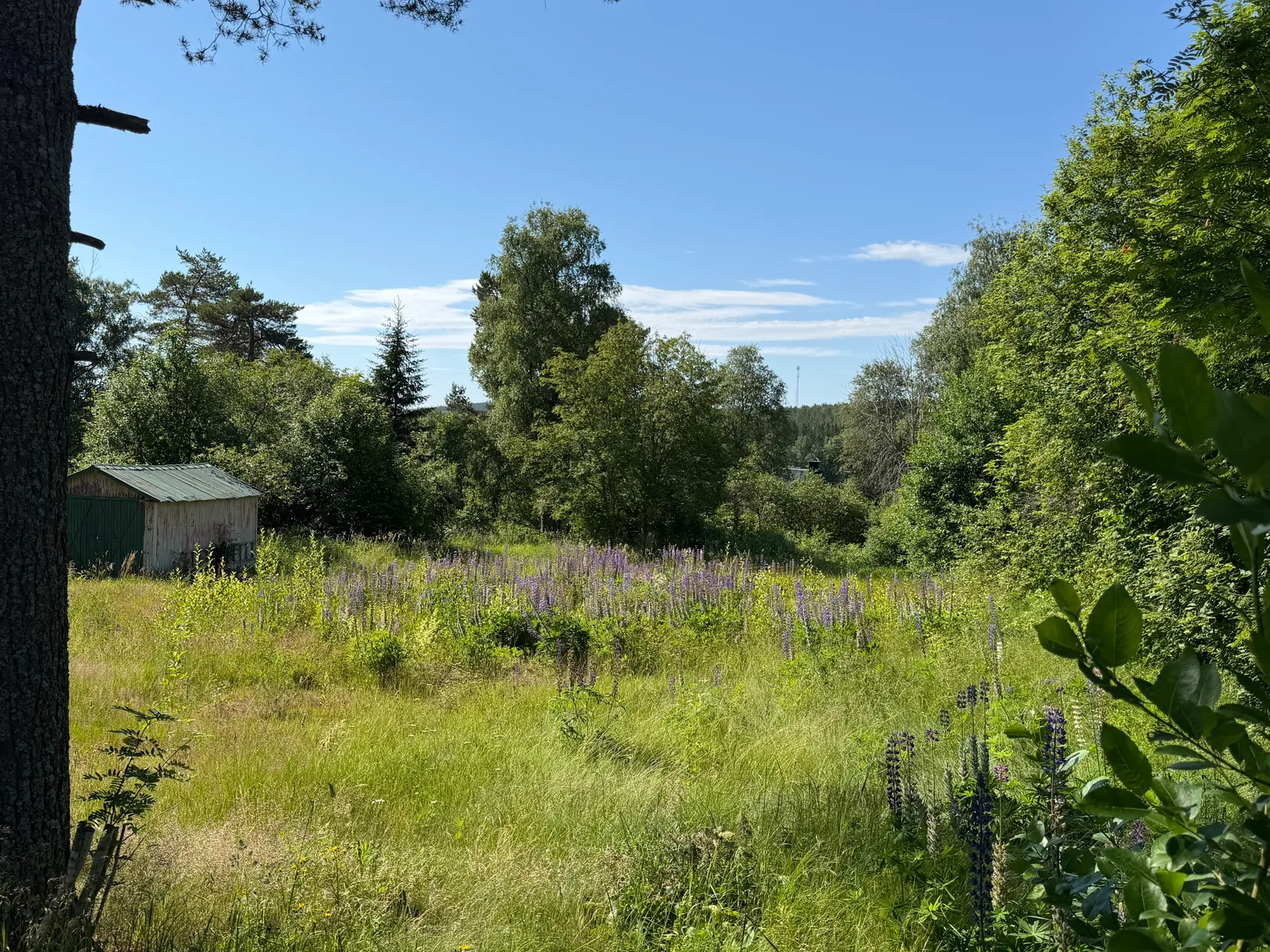 Tomt, Gamla Ådalsvägen 117, Bondsjöhöjden, Härnösand