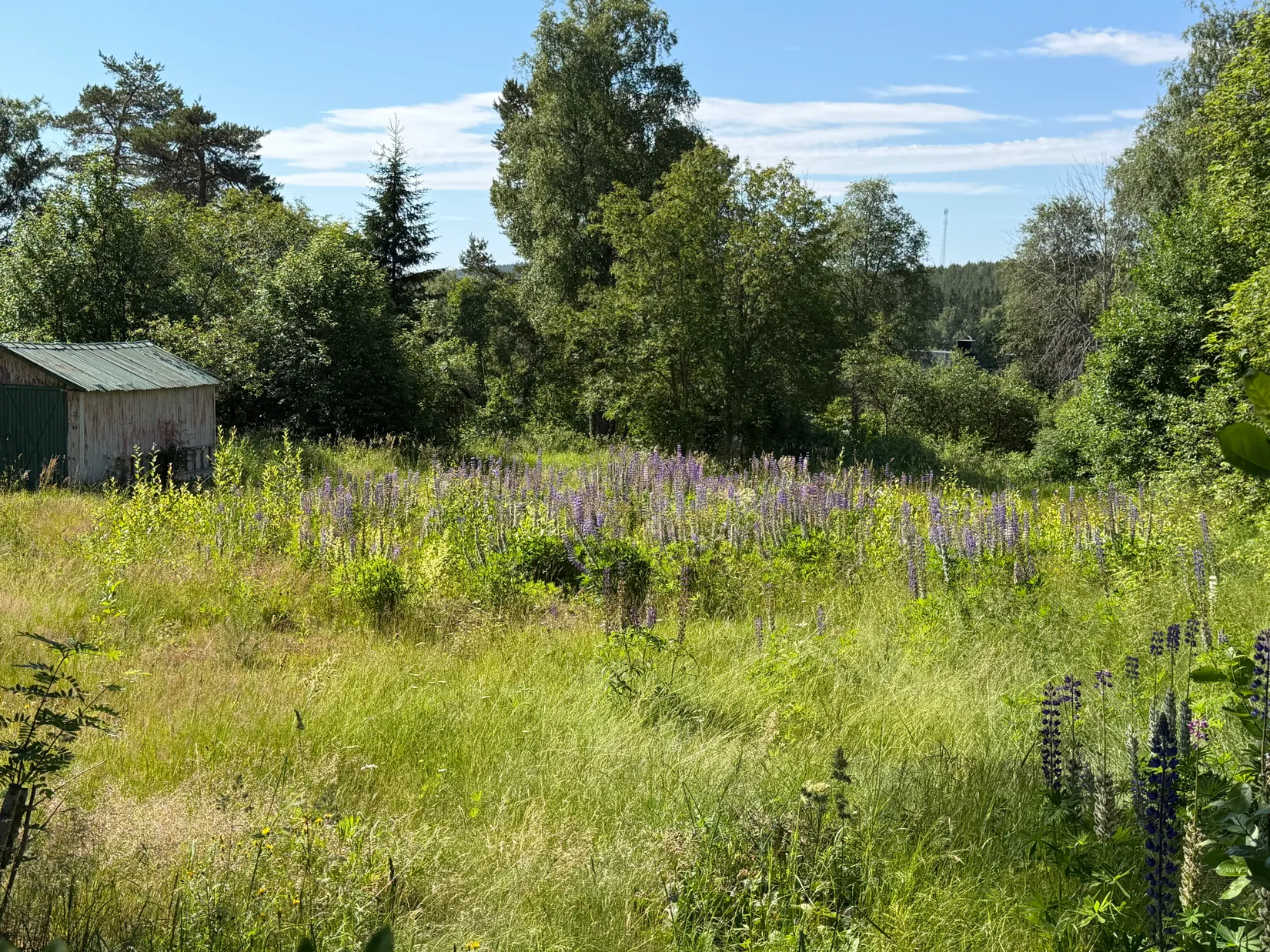Tomt, Gamla Ådalsvägen 117, Bondsjöhöjden, Härnösand