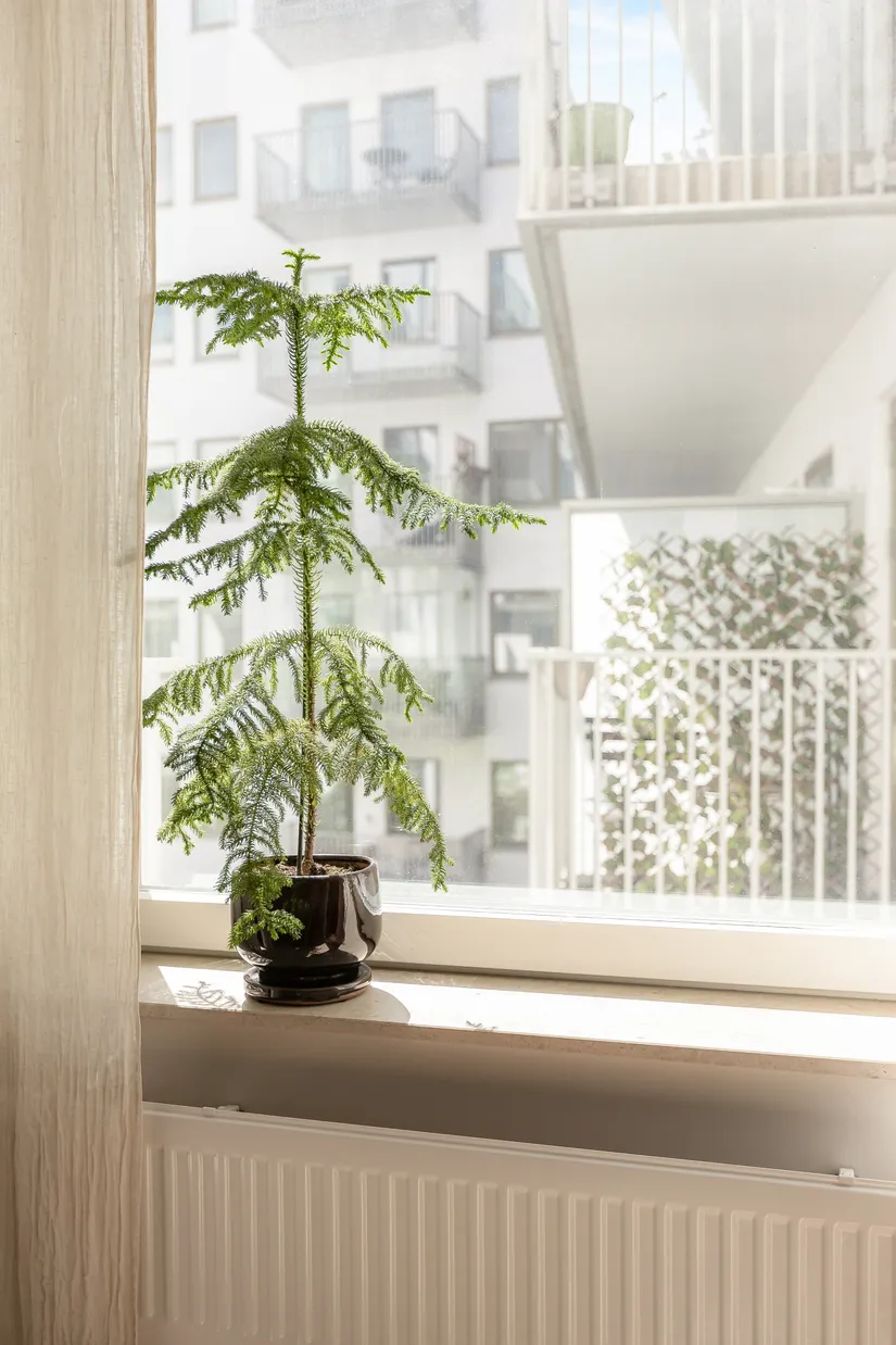 Bostadsrätt, Sylvangatan 9, Haga Norra, Solna