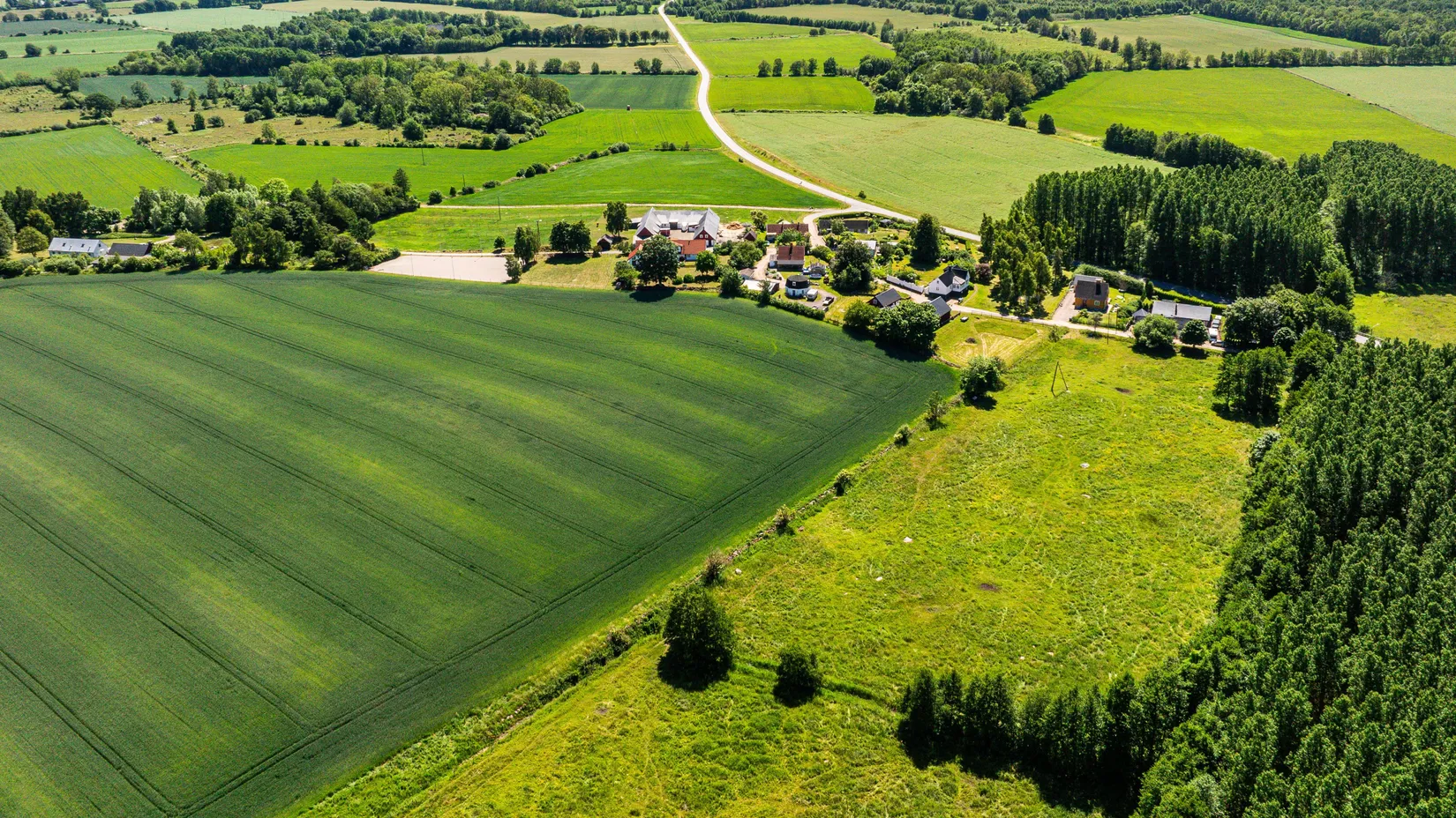 Gård/Skog, Backagårdsvägen 15, Träne, Kristianstad