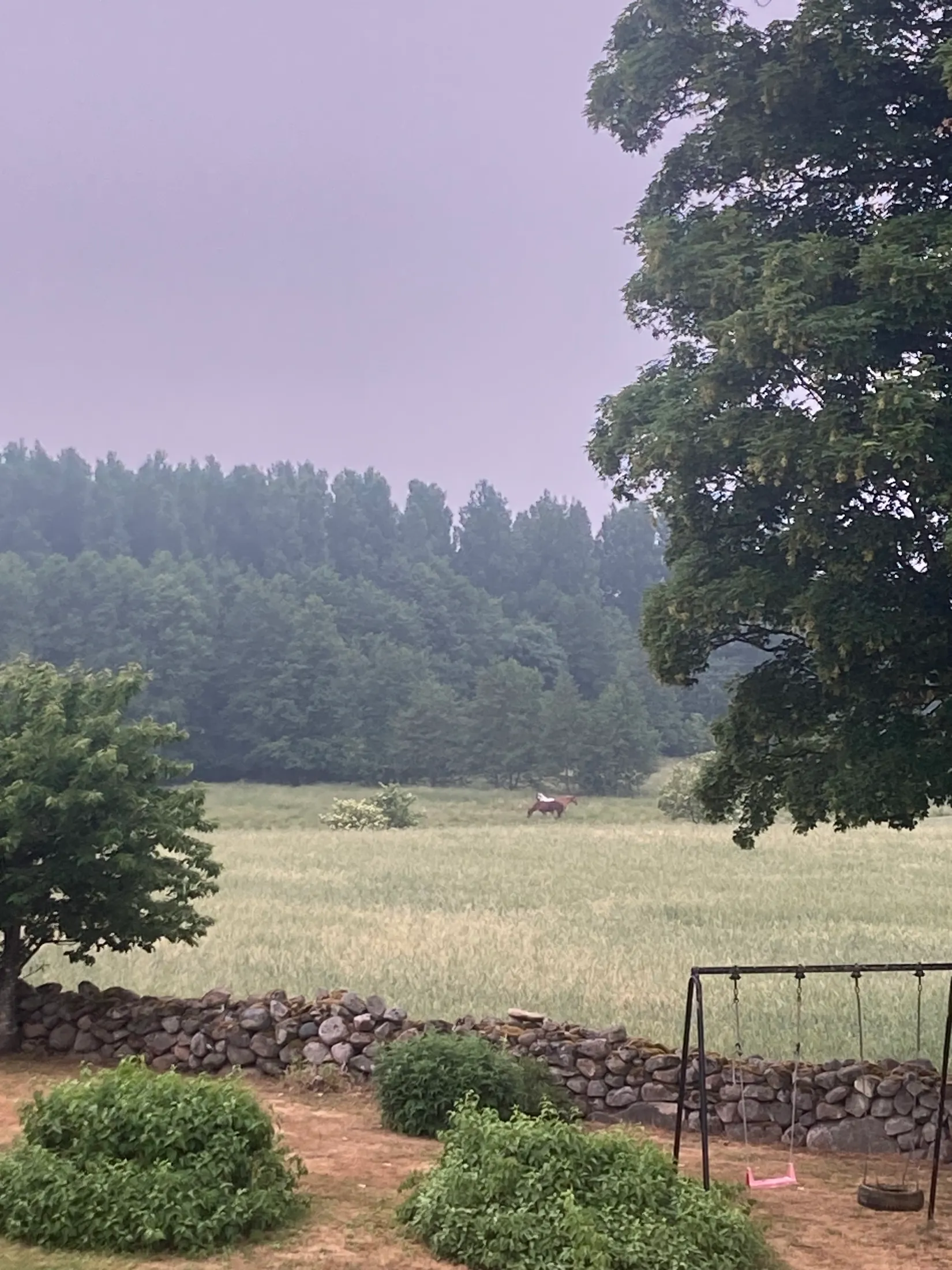 Gård/Skog, Backagårdsvägen 15, Träne, Kristianstad