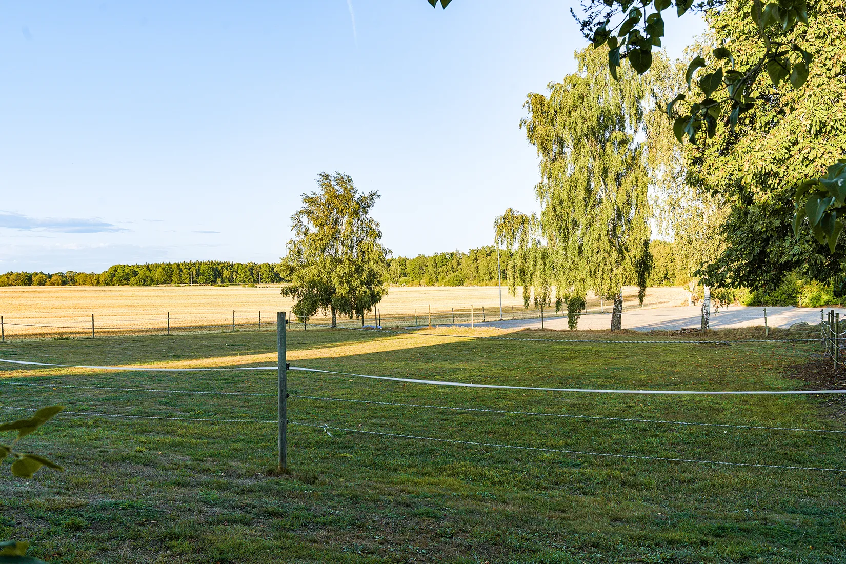 Gård/Skog, Backagårdsvägen 15, Träne, Kristianstad