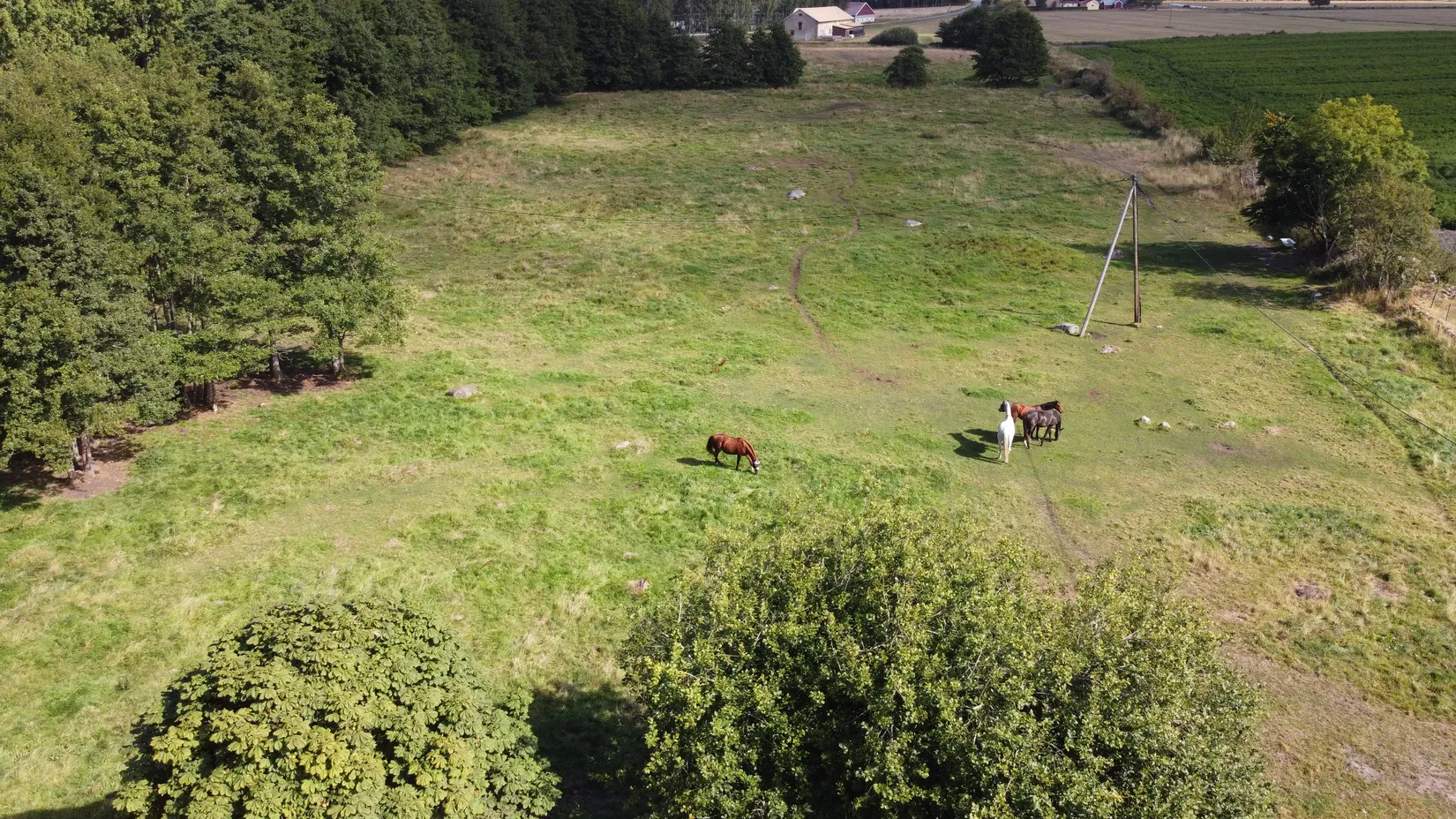 Gård/Skog, Backagårdsvägen 15, Träne, Kristianstad