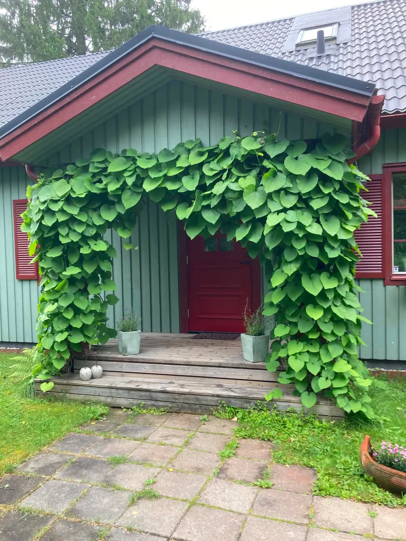 Villa, Tuna-Vi 143, Tuna-Vi, Sundsvall