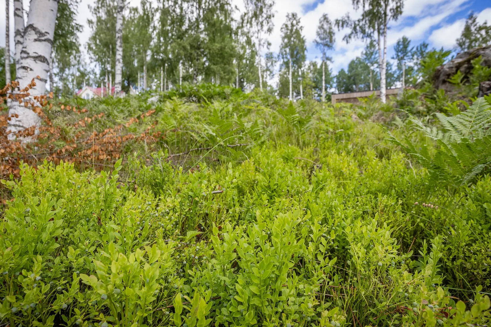 Tomt, Liljekonvaljbacken 3, Allsta, Sundsvall