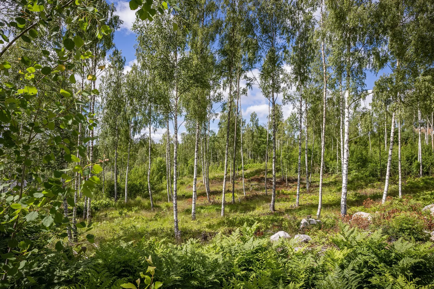 Tomt, Liljekonvaljbacken 3, Allsta, Sundsvall