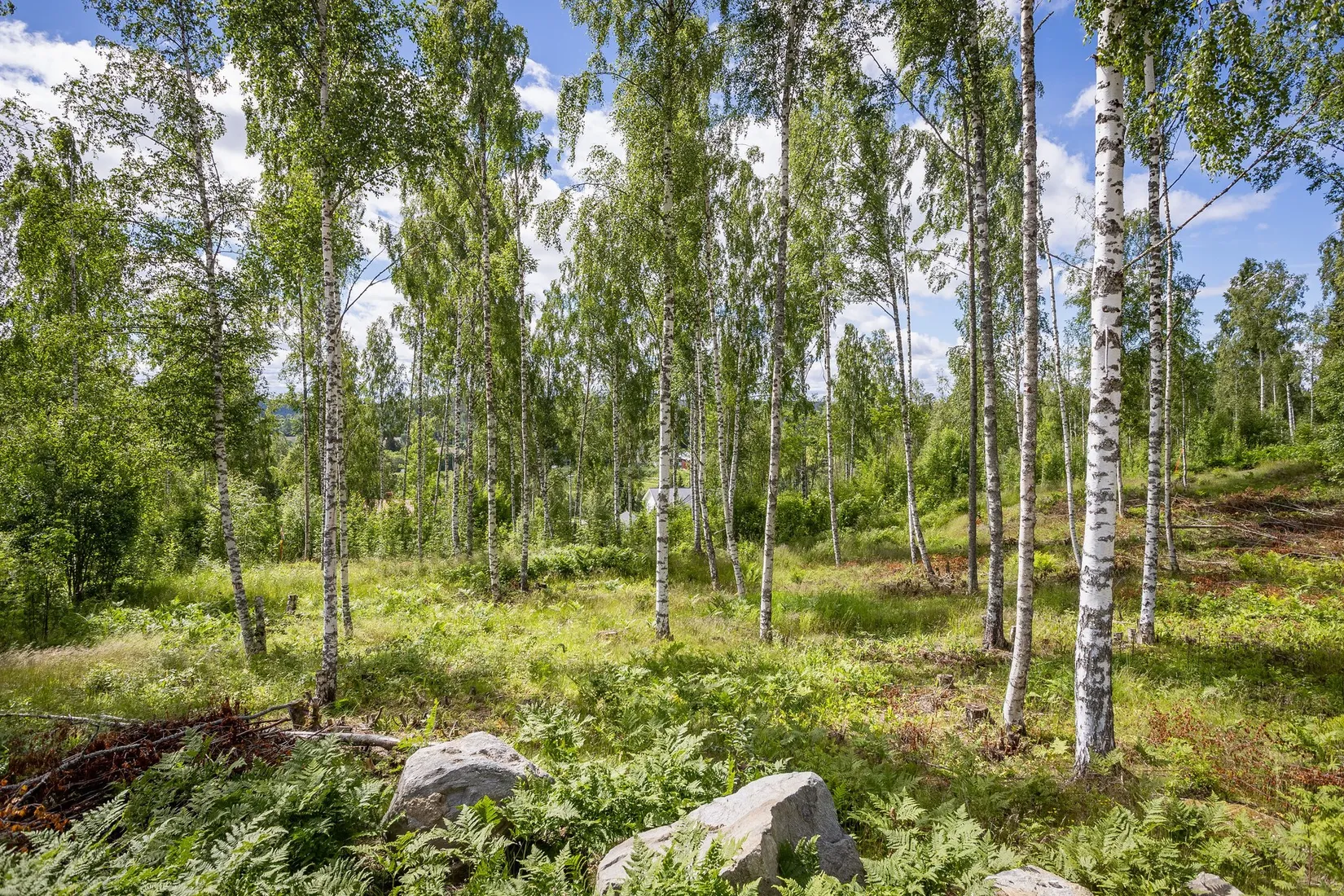 Tomt, Liljekonvaljbacken 3, Allsta, Sundsvall