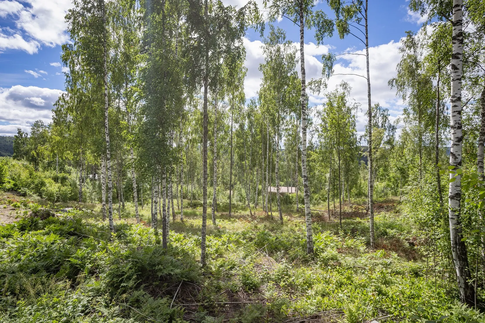 Tomt, Liljekonvaljbacken 3, Allsta, Sundsvall