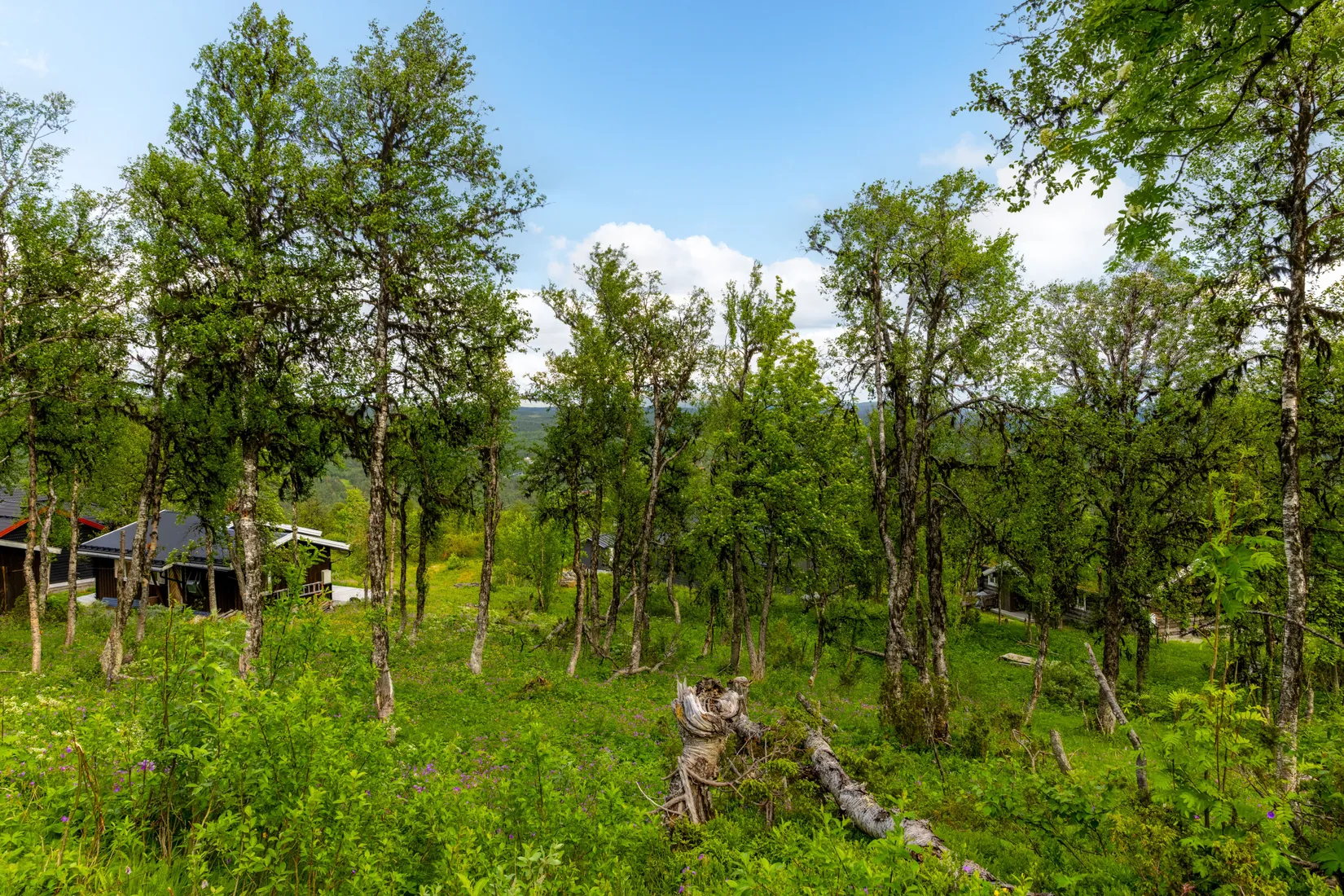 Tomt, Högfjällsvägen 17, Bruksvallarna, Härjedalen