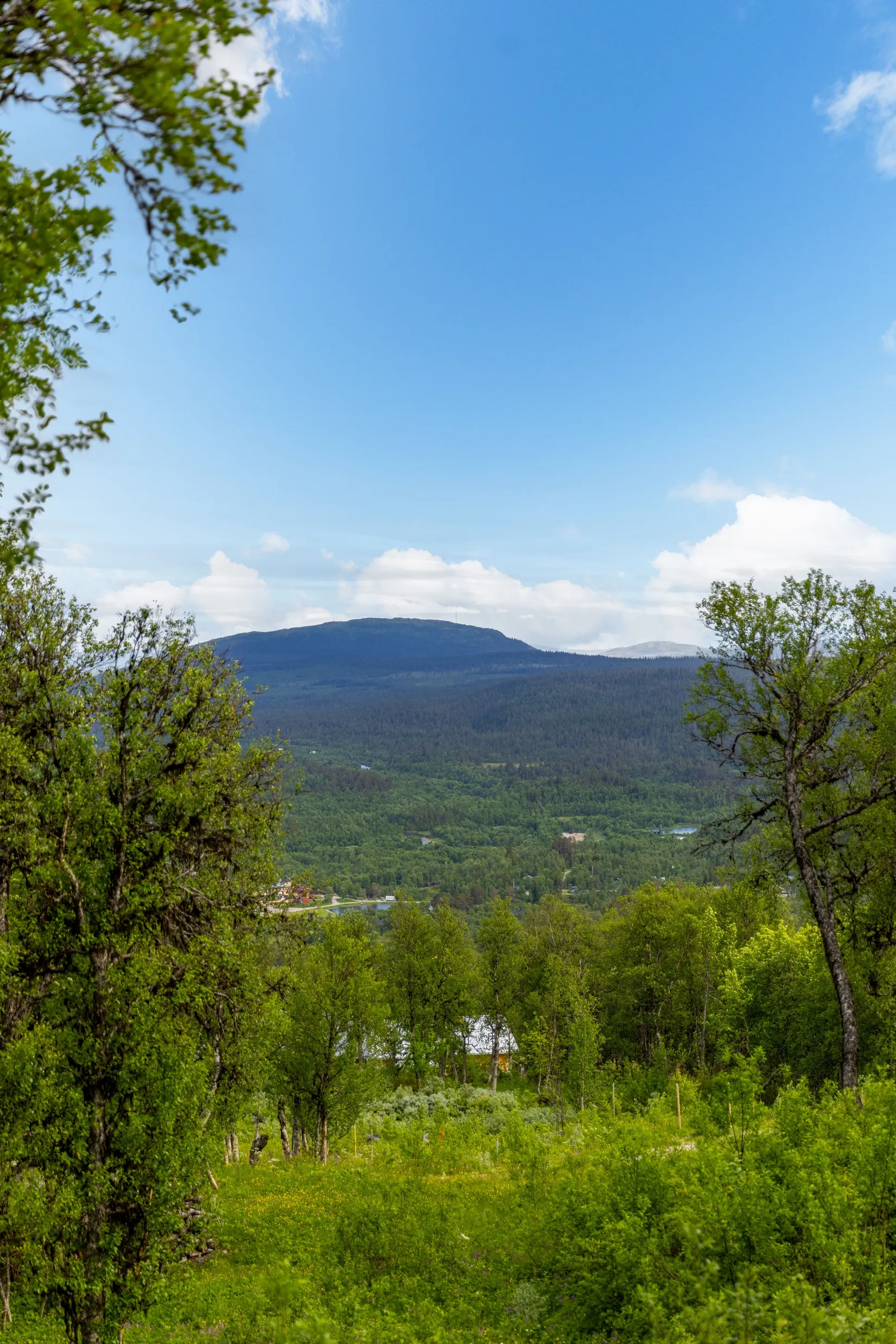 Tomt, Högfjällsvägen 17, Bruksvallarna, Härjedalen