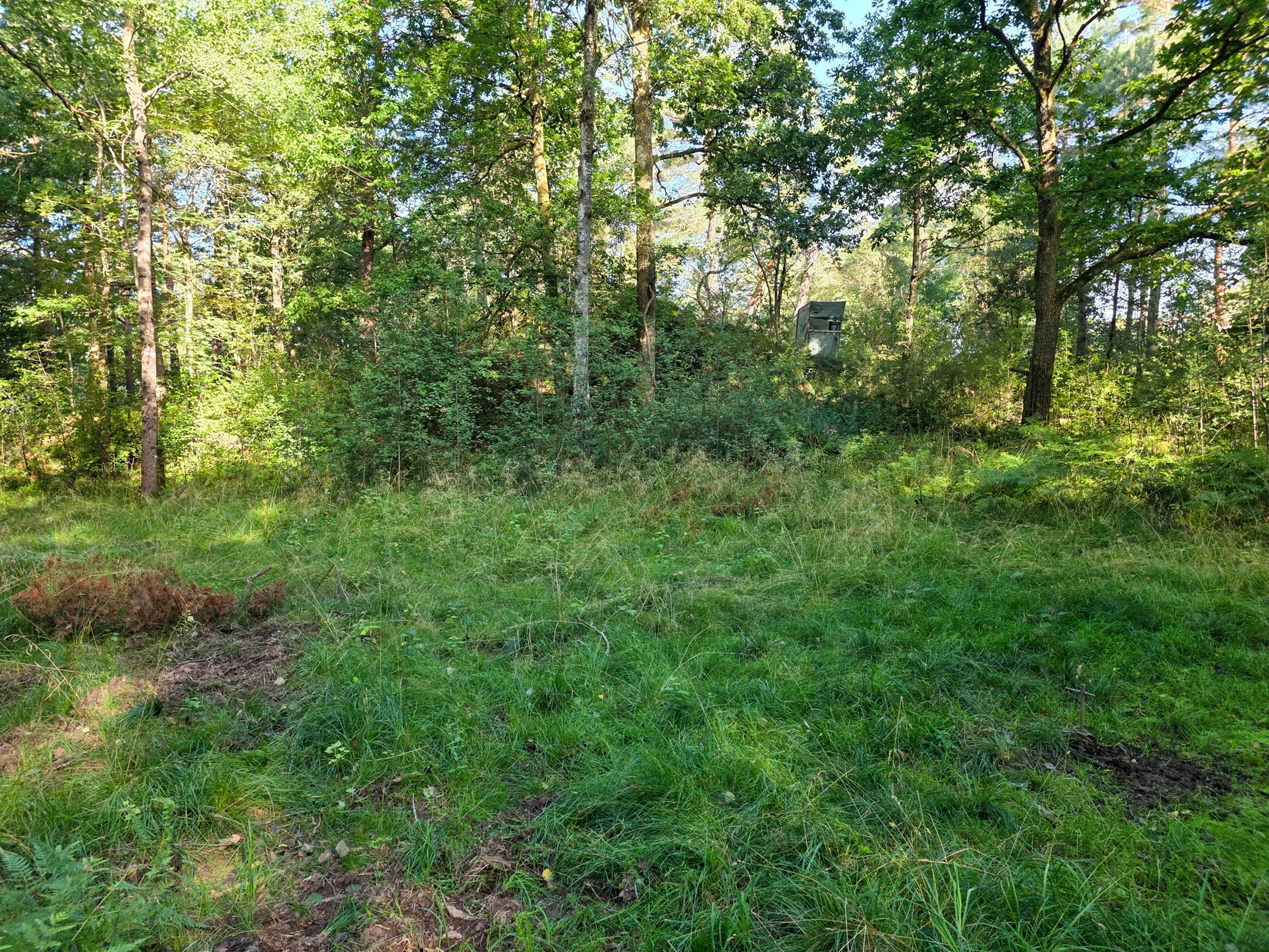 Tomt, Dalslingans väg 24, Östra Kullavik, Kungsbacka
