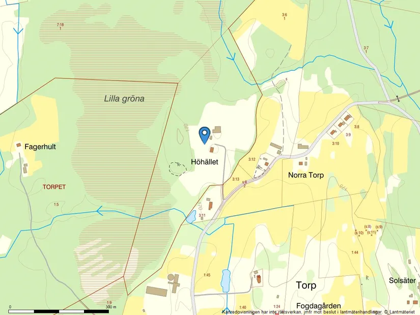 Gård/Skog, Torp Höhället 1, Torp, Värnamo