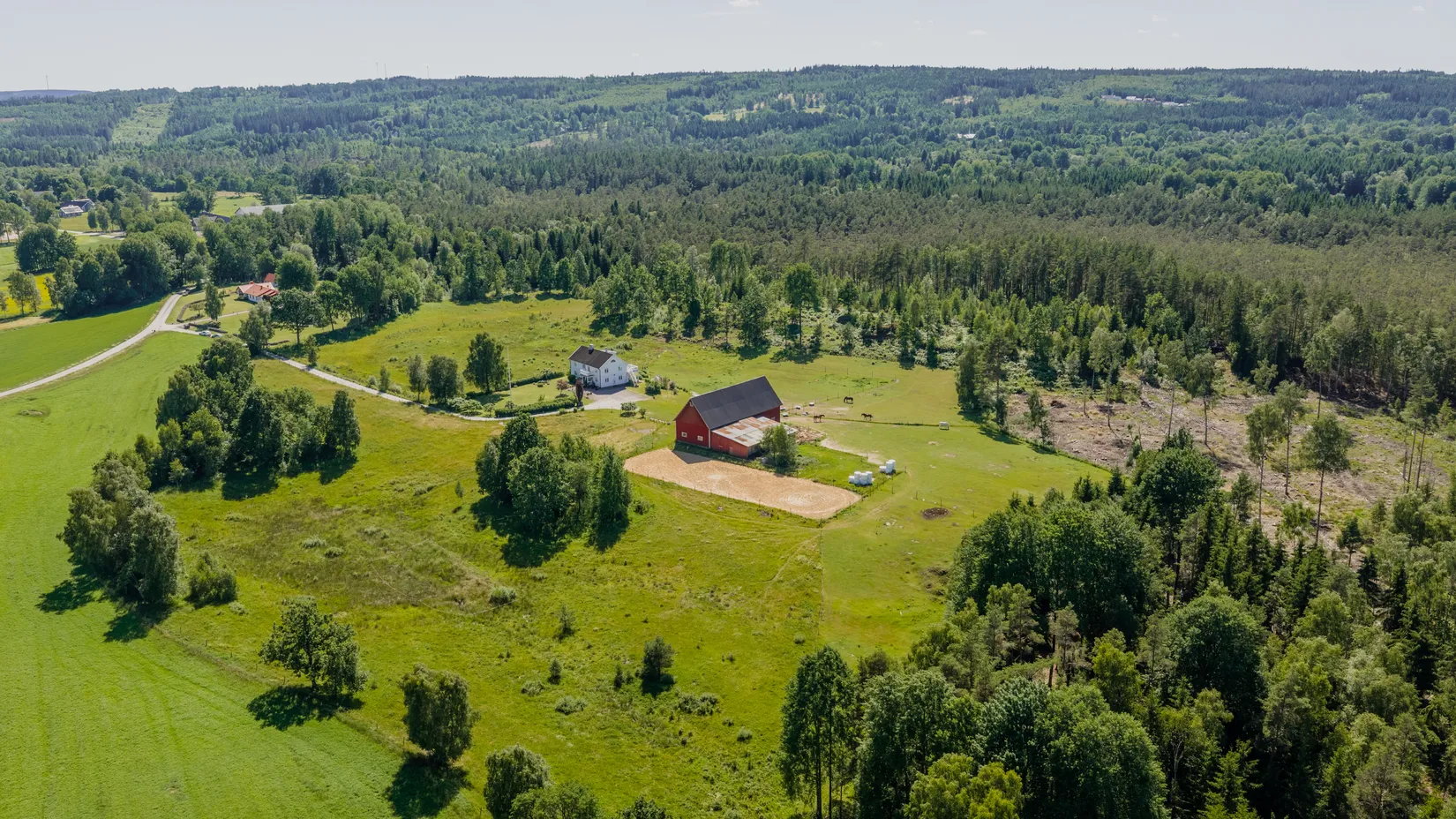 Gård/Skog, Torp Höhället 1, Torp, Värnamo