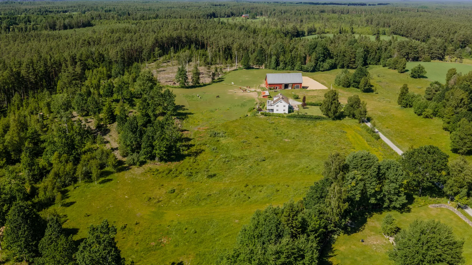 Gård/Skog, Torp Höhället 1, Torp, Värnamo