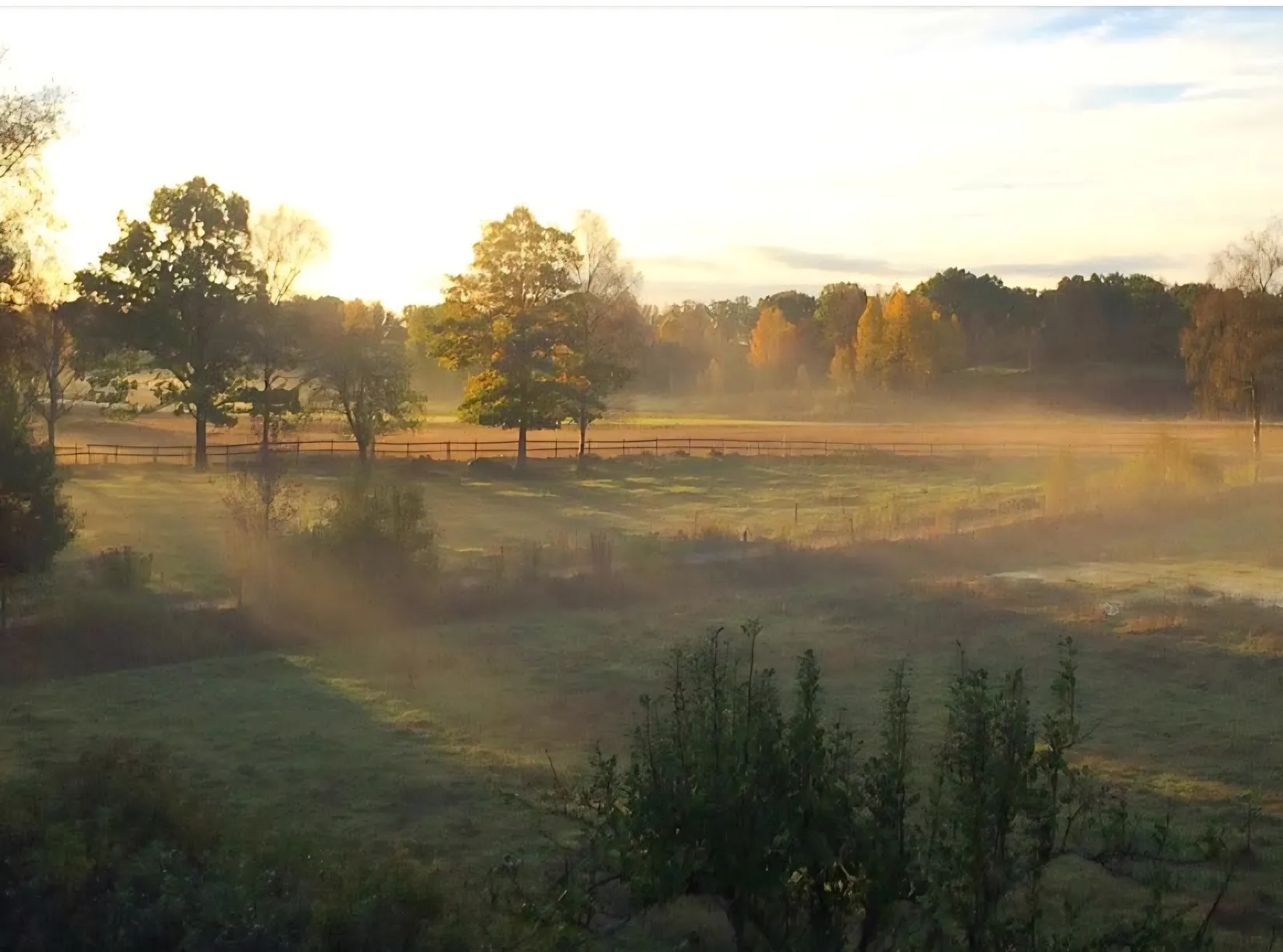 Gård/Skog, Torp Höhället 1, Torp, Värnamo