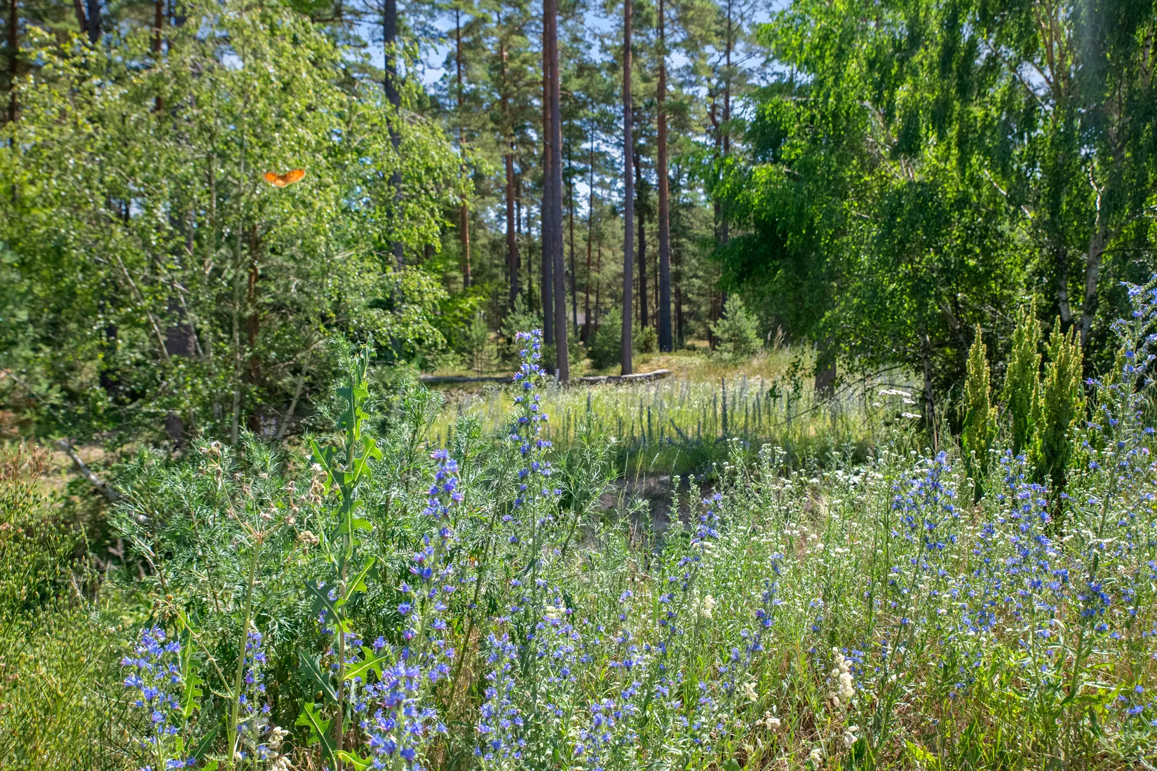 Tomt, Kvittenvägen 17, Äspet, ÅHUS, Kristianstad