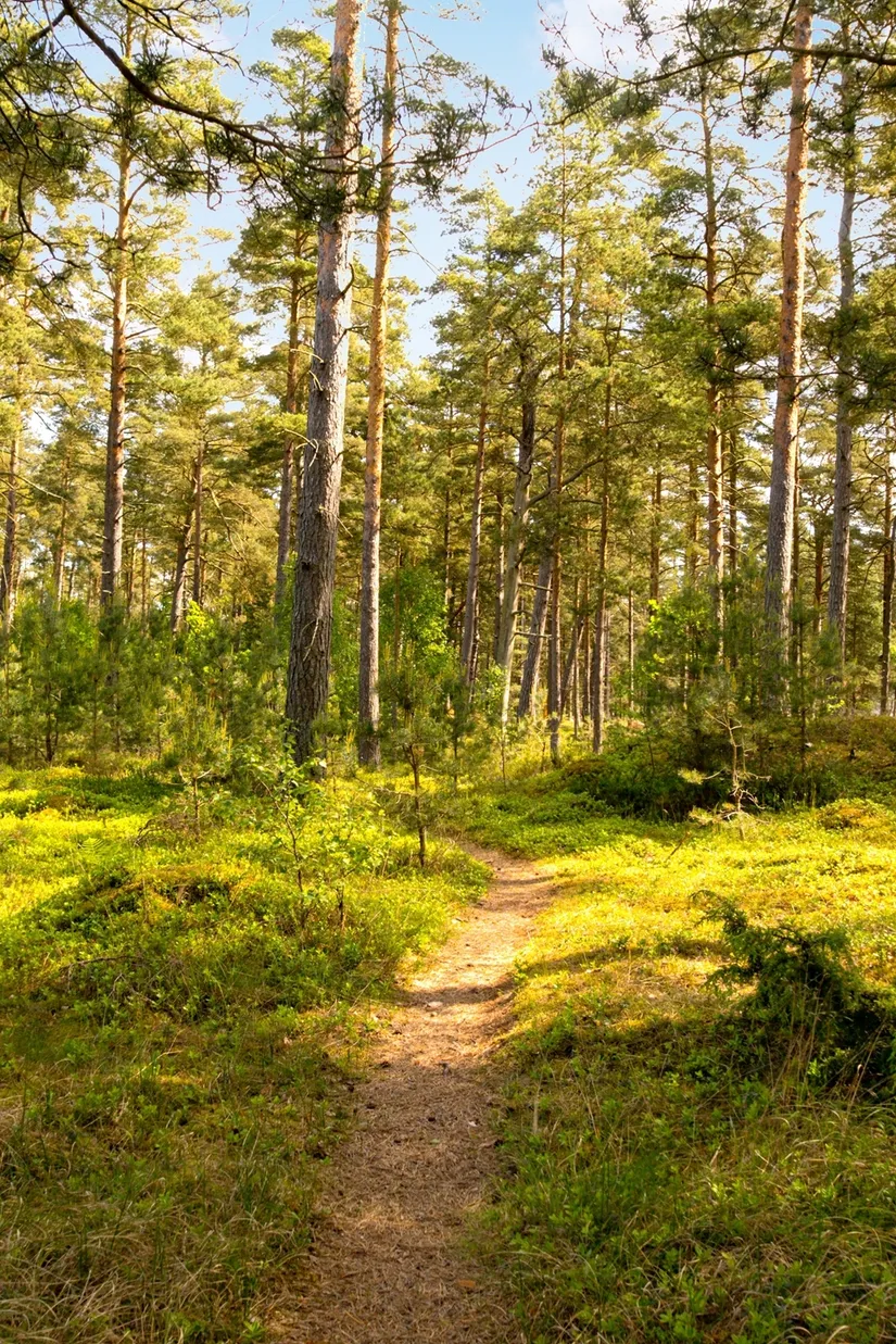 Tomt, Kvittenvägen 17, Äspet, ÅHUS, Kristianstad