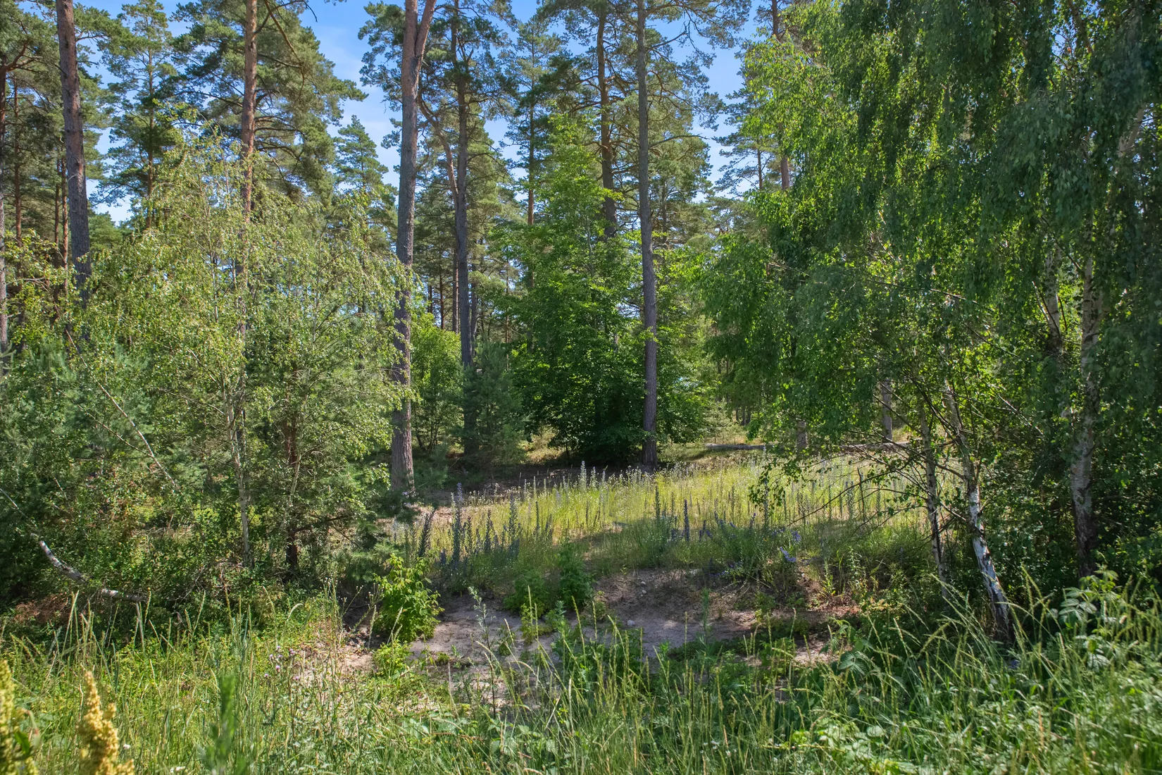 Tomt, Kvittenvägen 17, Äspet, ÅHUS, Kristianstad