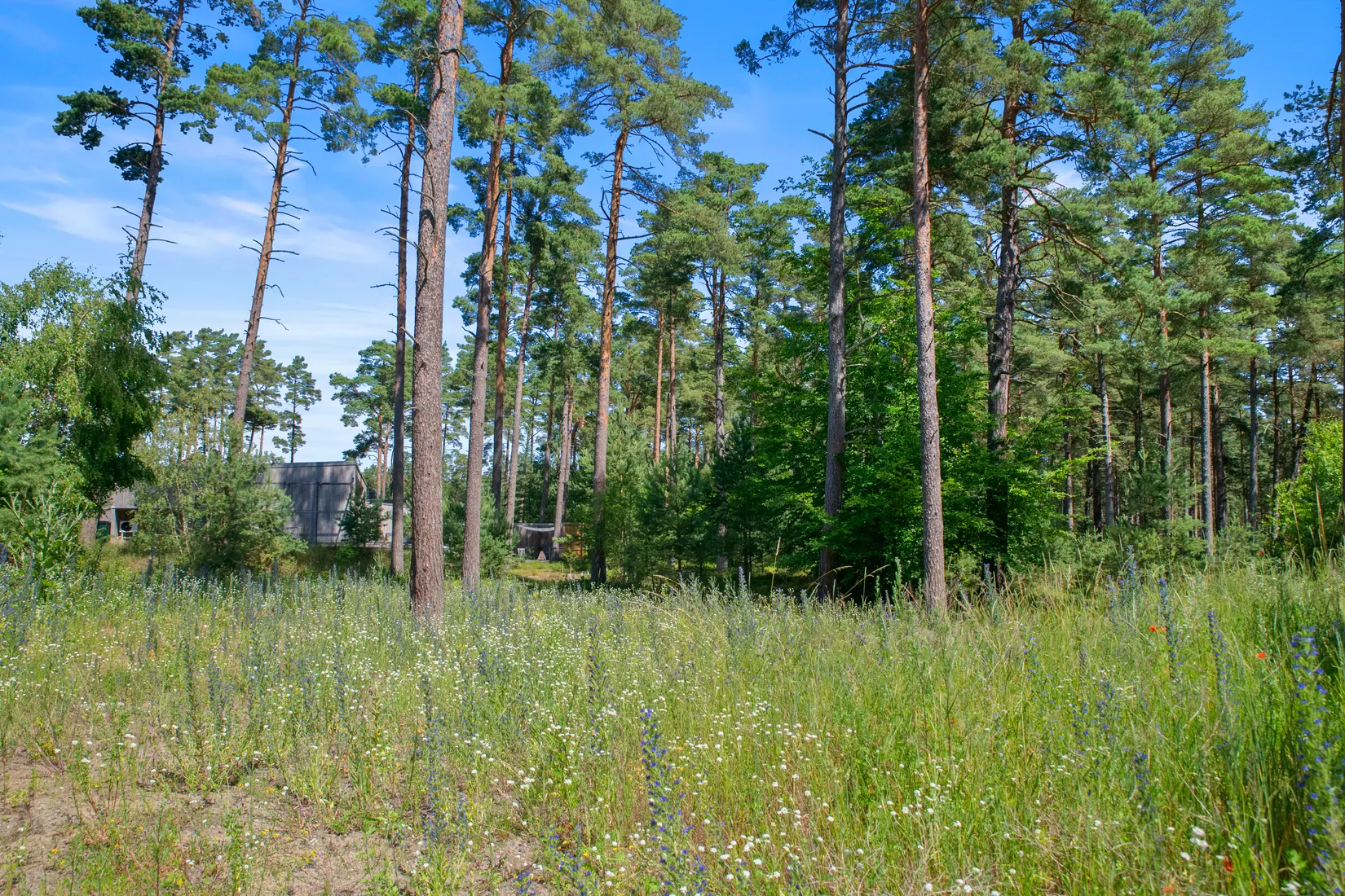 Tomt, Kvittenvägen 17, Äspet, ÅHUS, Kristianstad