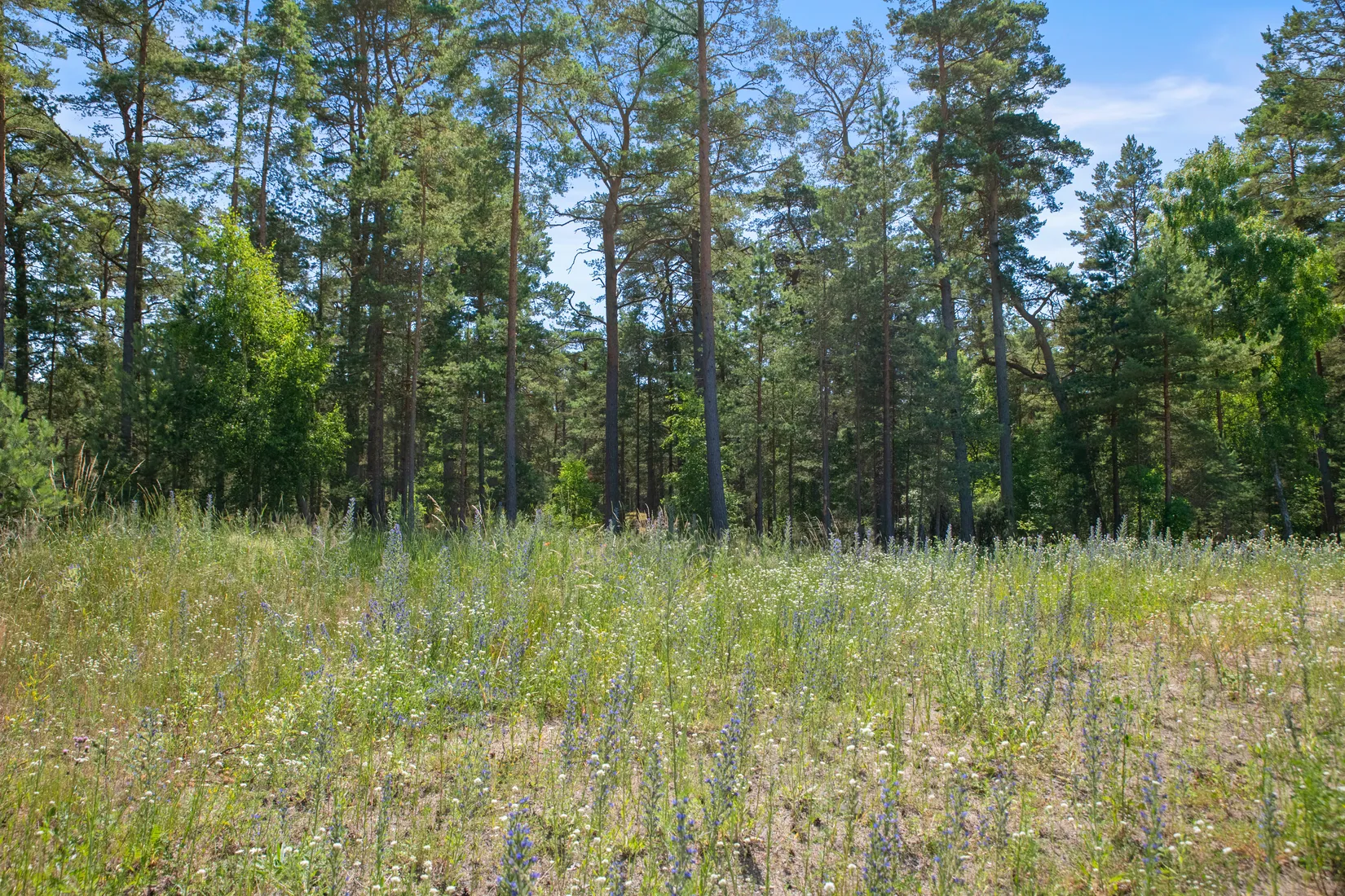 Tomt, Kvittenvägen 17, Äspet, ÅHUS, Kristianstad