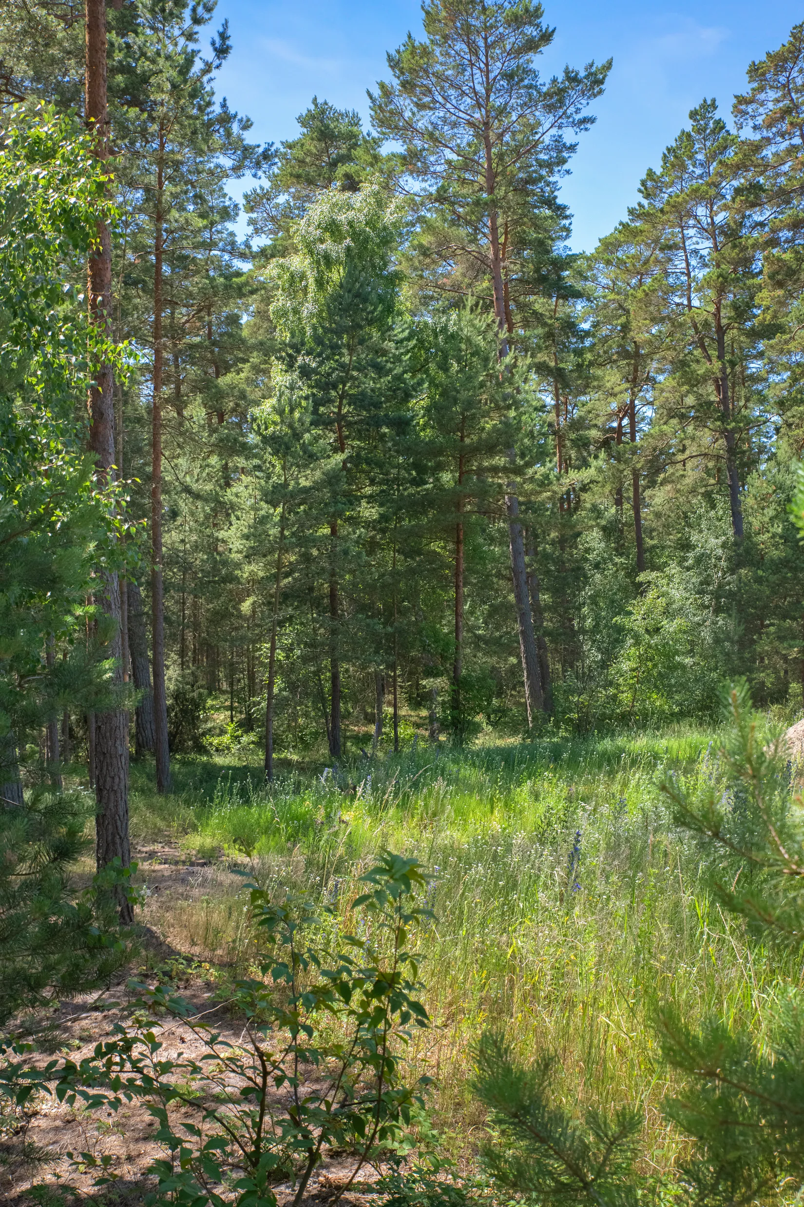 Tomt, Kvittenvägen 17, Äspet, ÅHUS, Kristianstad