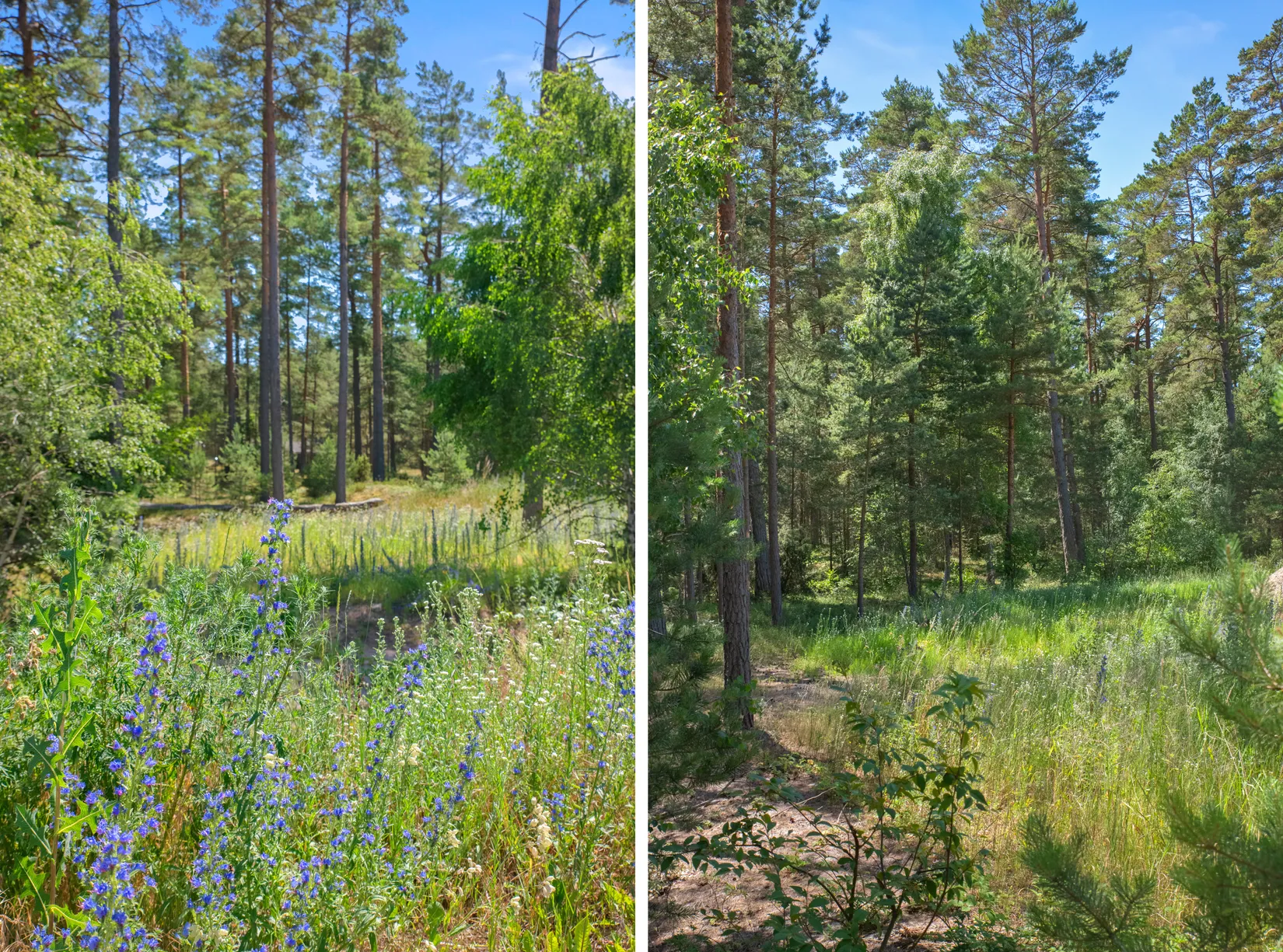 Tomt, Kvittenvägen 17, Äspet, ÅHUS, Kristianstad