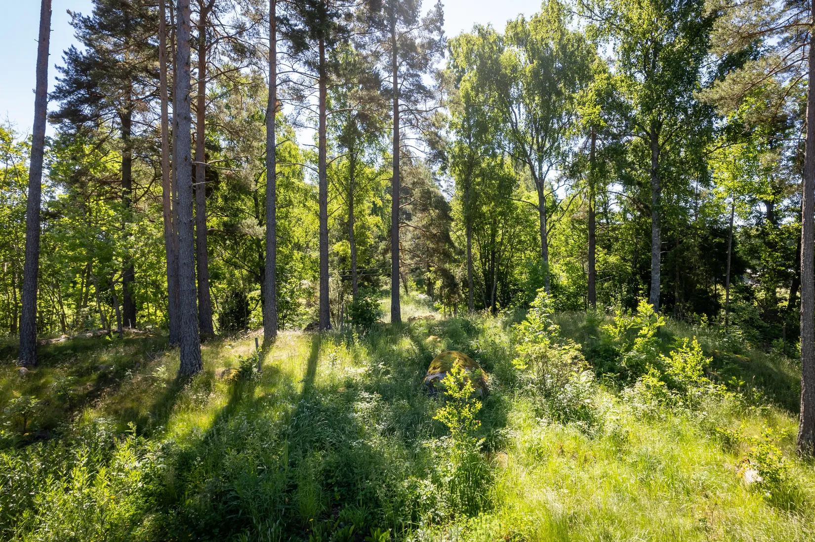Tomt, Tandersten 6, Eskilstuna