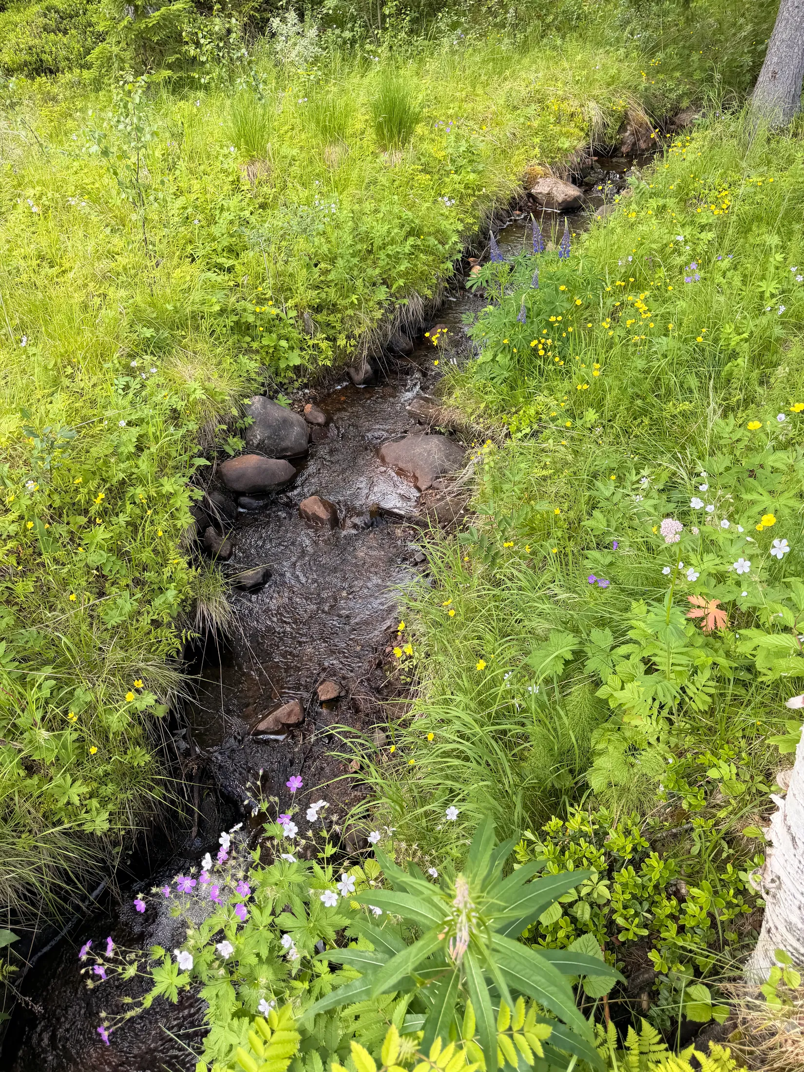 Fritidshus, Lofsdalsvägen 111, Härjedalen