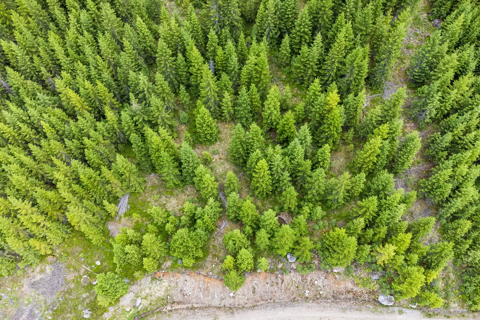 Gård/Skog, Knarten 1, Sysslebäck, Torsby