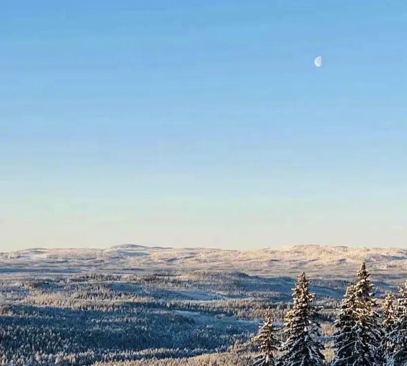 Gård/Skog, Knarten 1, Sysslebäck, Torsby