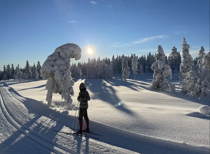 Gård/Skog, Knarten 1, Sysslebäck, Torsby