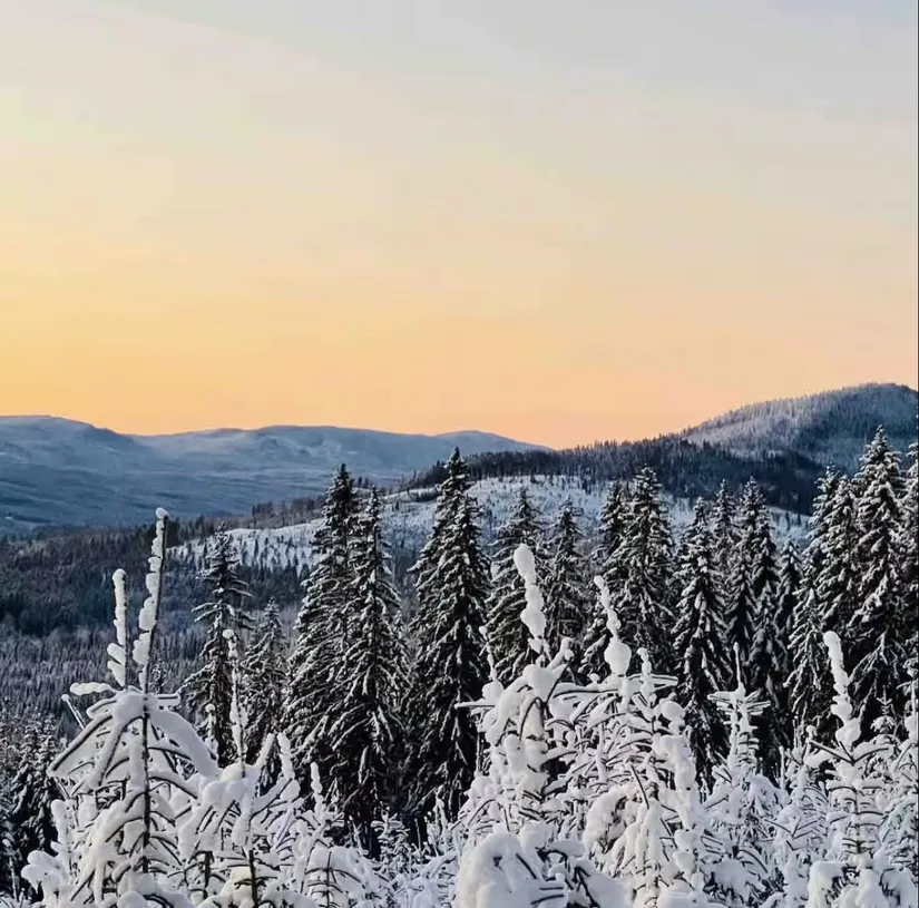 Gård/Skog, Knarten 1, Sysslebäck, Torsby