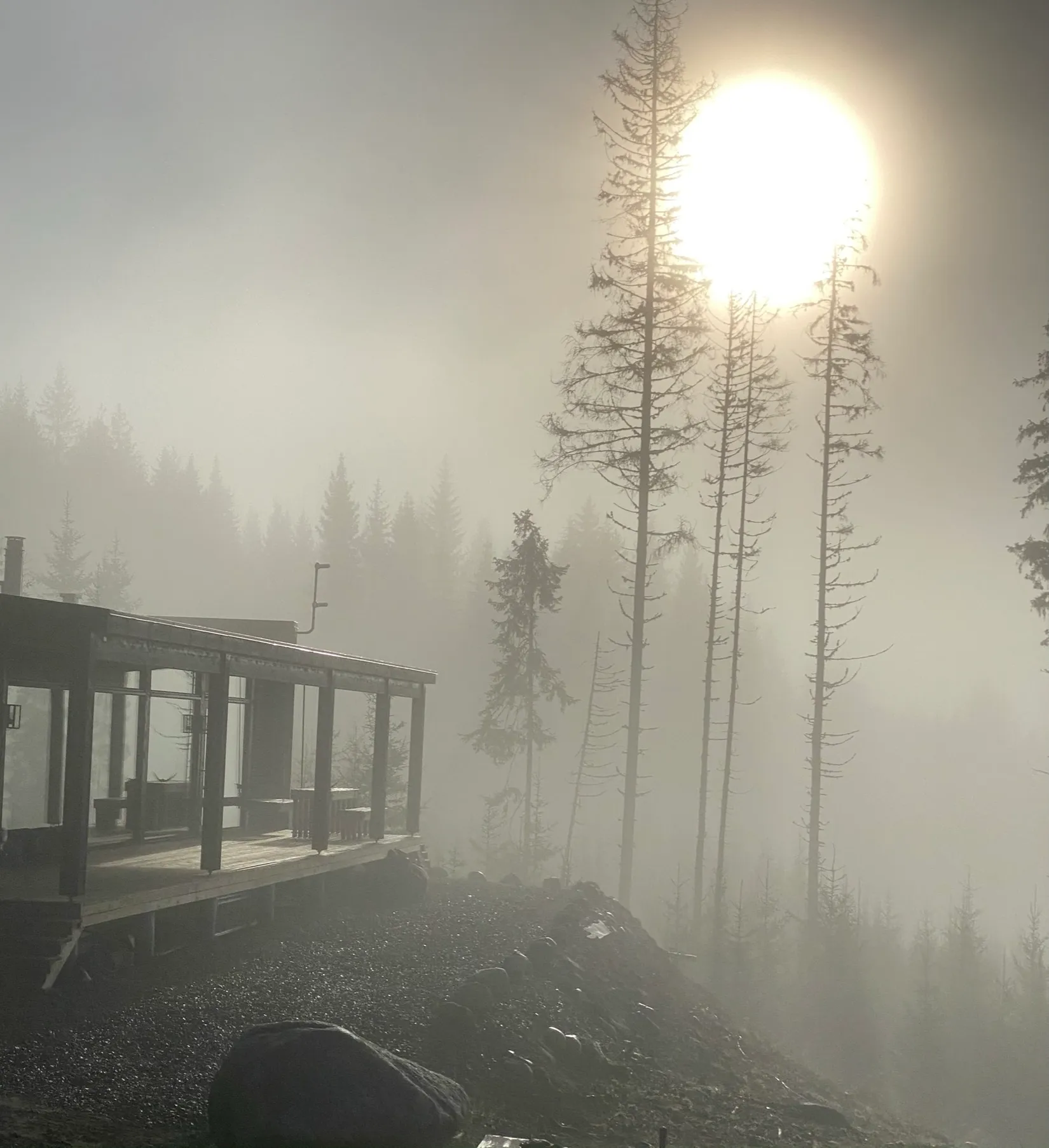Gård/Skog, Knarten 1, Sysslebäck, Torsby