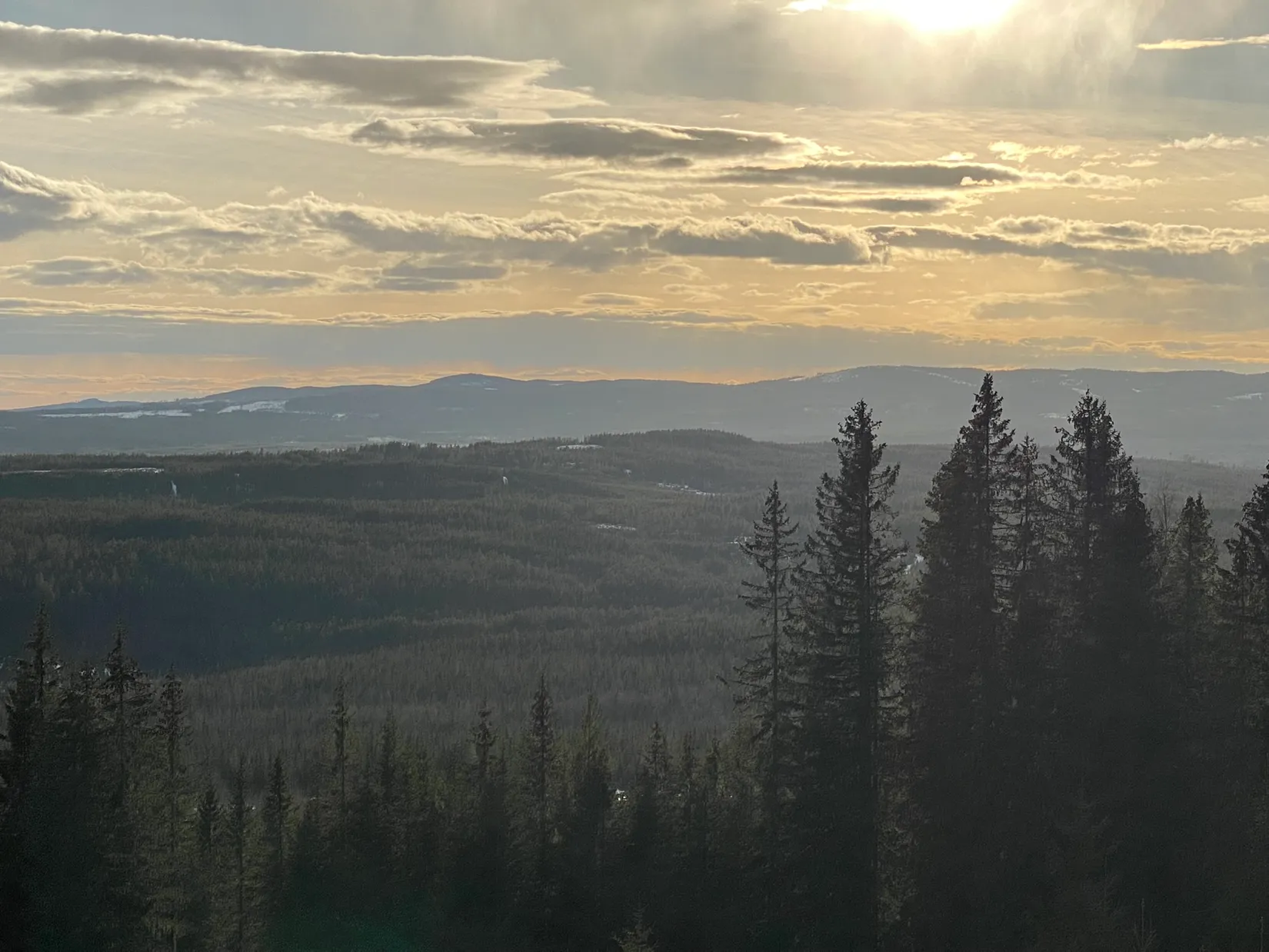 Gård/Skog, Knarten 1, Sysslebäck, Torsby