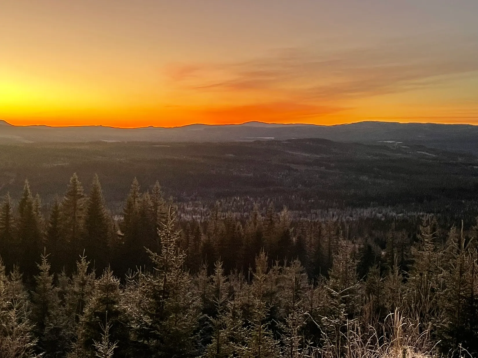 Gård/Skog, Knarten 1, Sysslebäck, Torsby