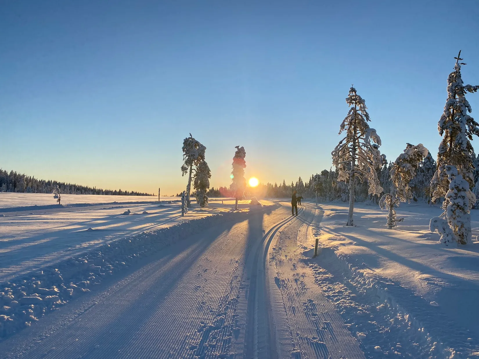 Gård/Skog, Knarten 1, Sysslebäck, Torsby